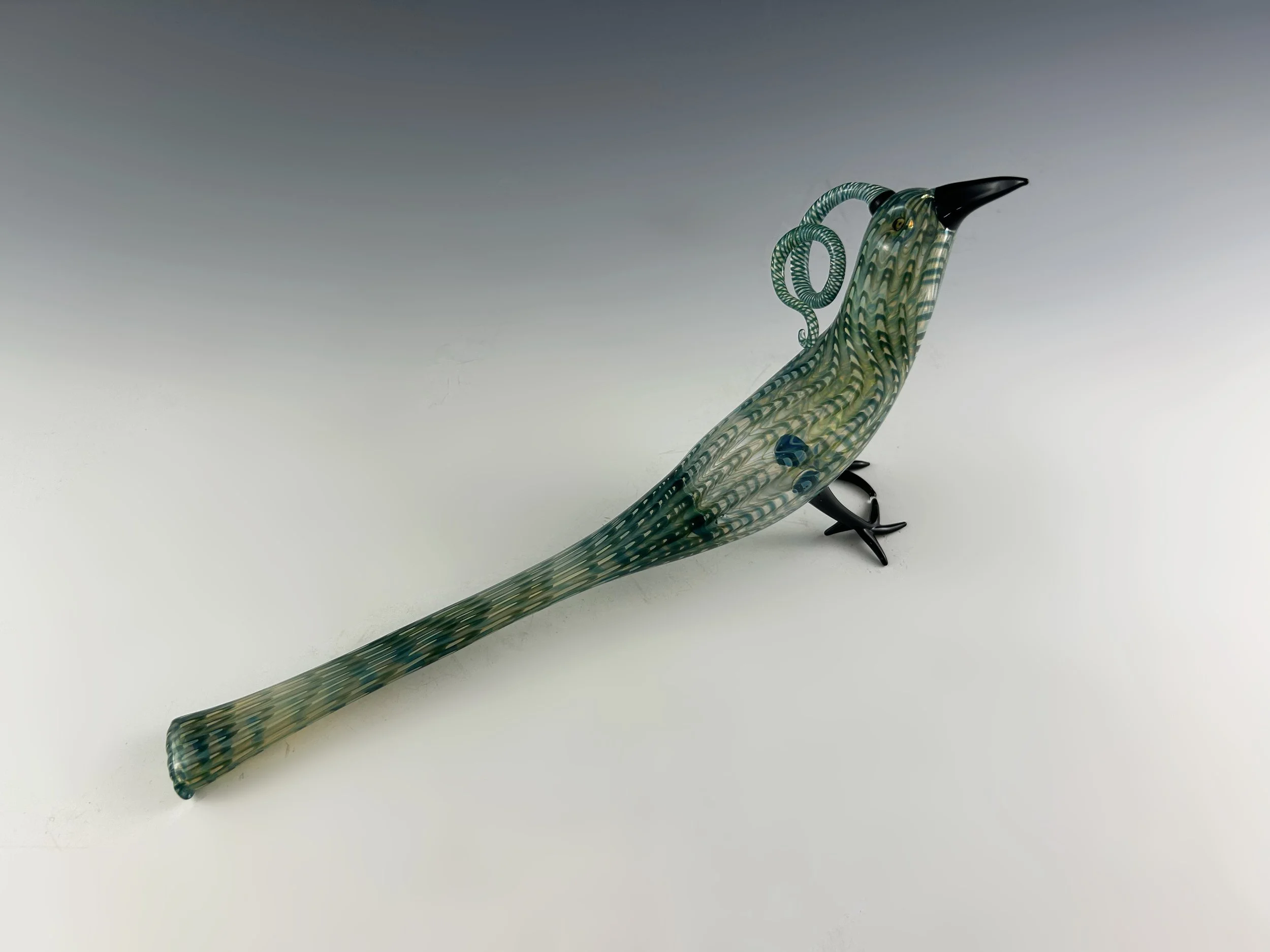 Teal Feathered Bird 2024 - 1.jpg