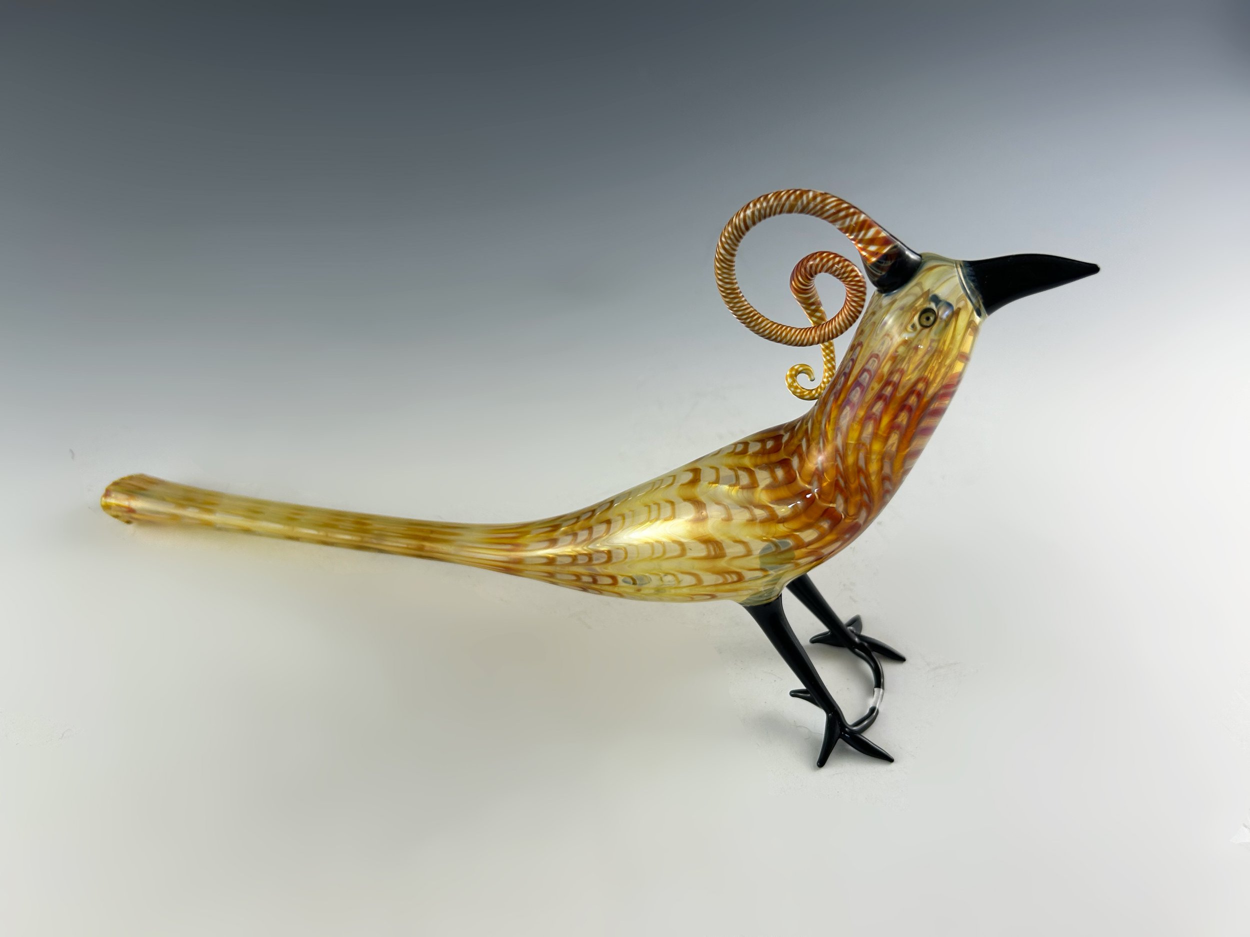 Amber Feathered Birds 2024 - 2.jpg