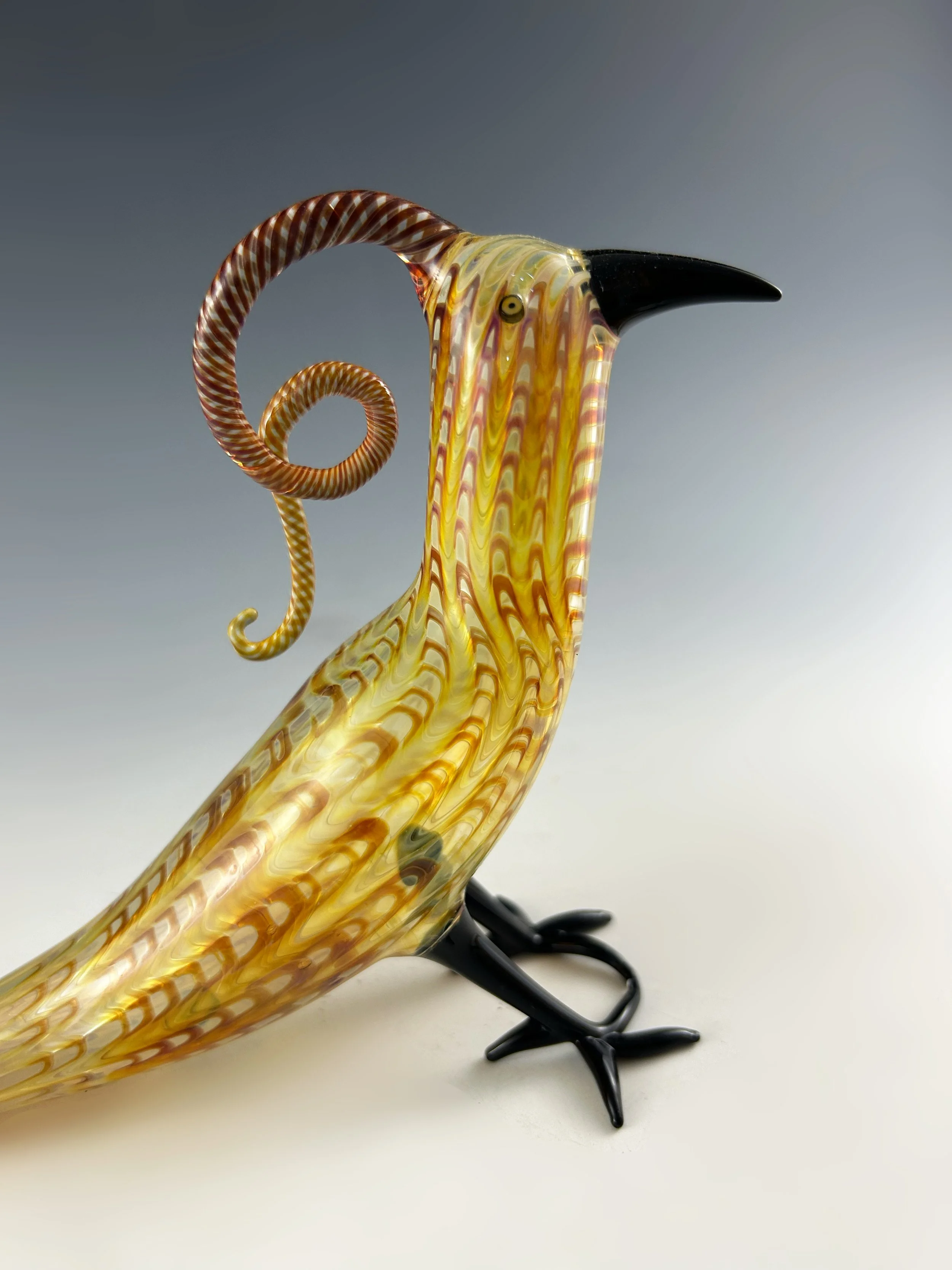 Amber Feathered Birds 2024 - 5.jpg