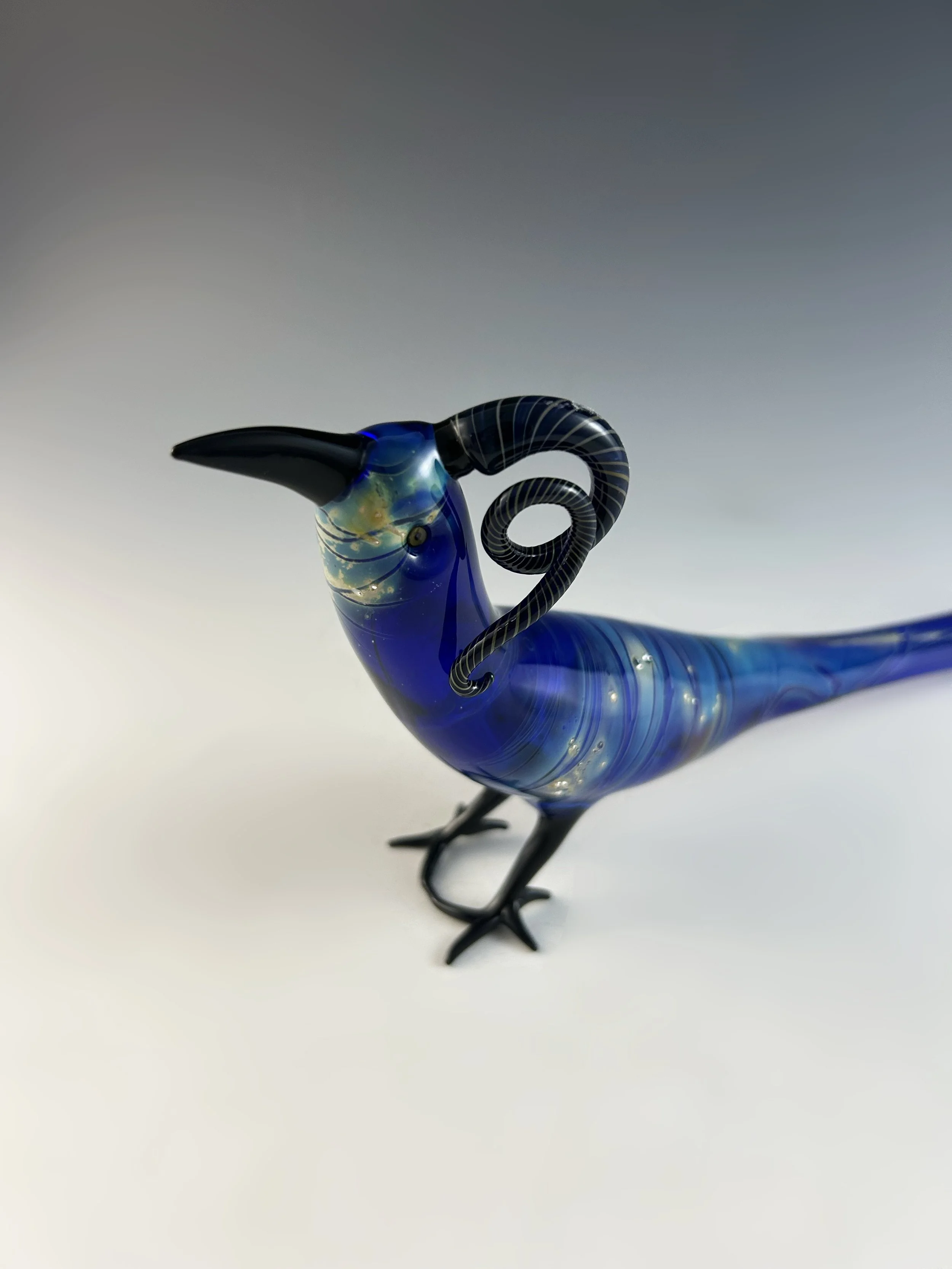 Cobalt and Silver bird 2025.jpg