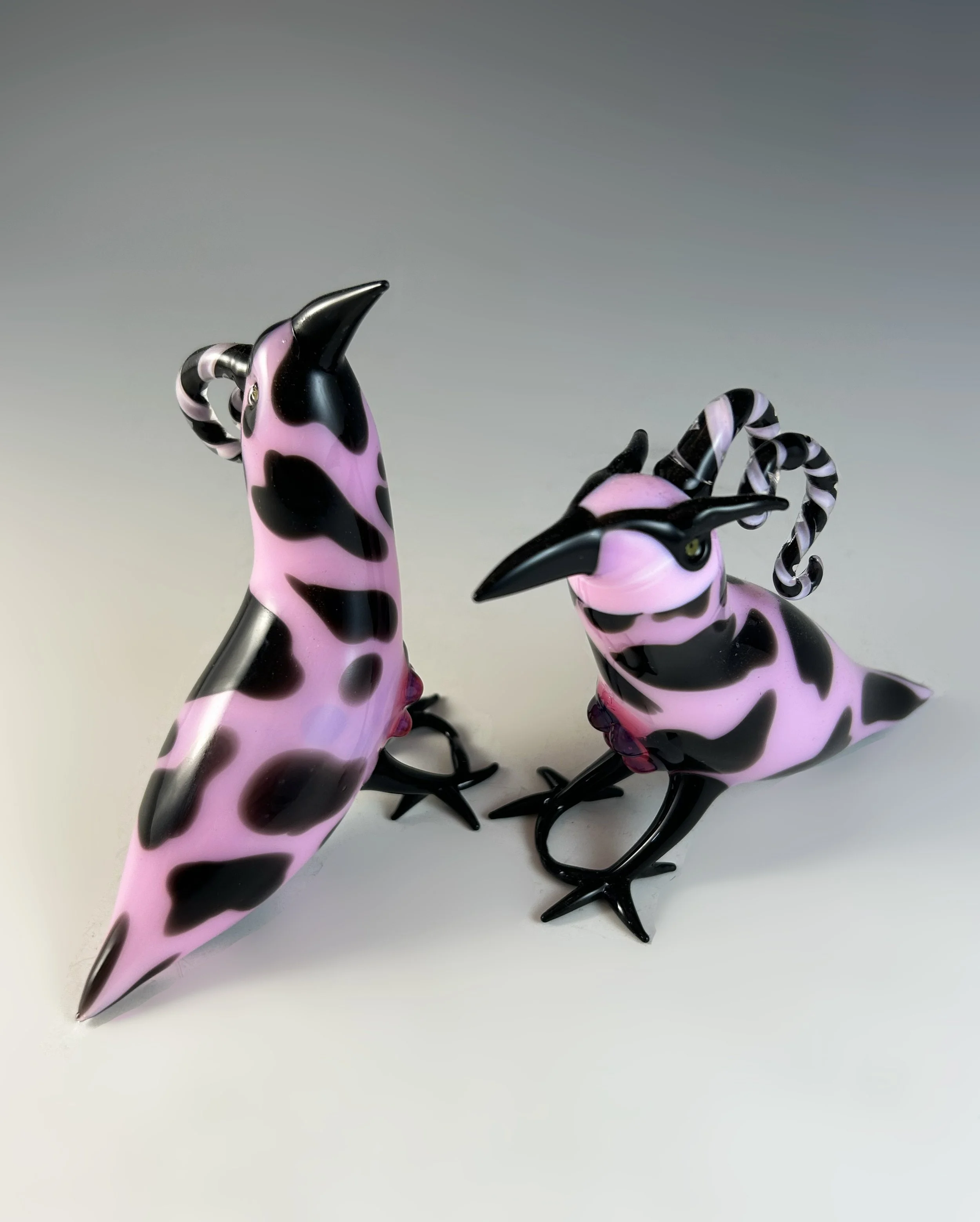 Abby Greenbaum Bird Collaboration.jpg