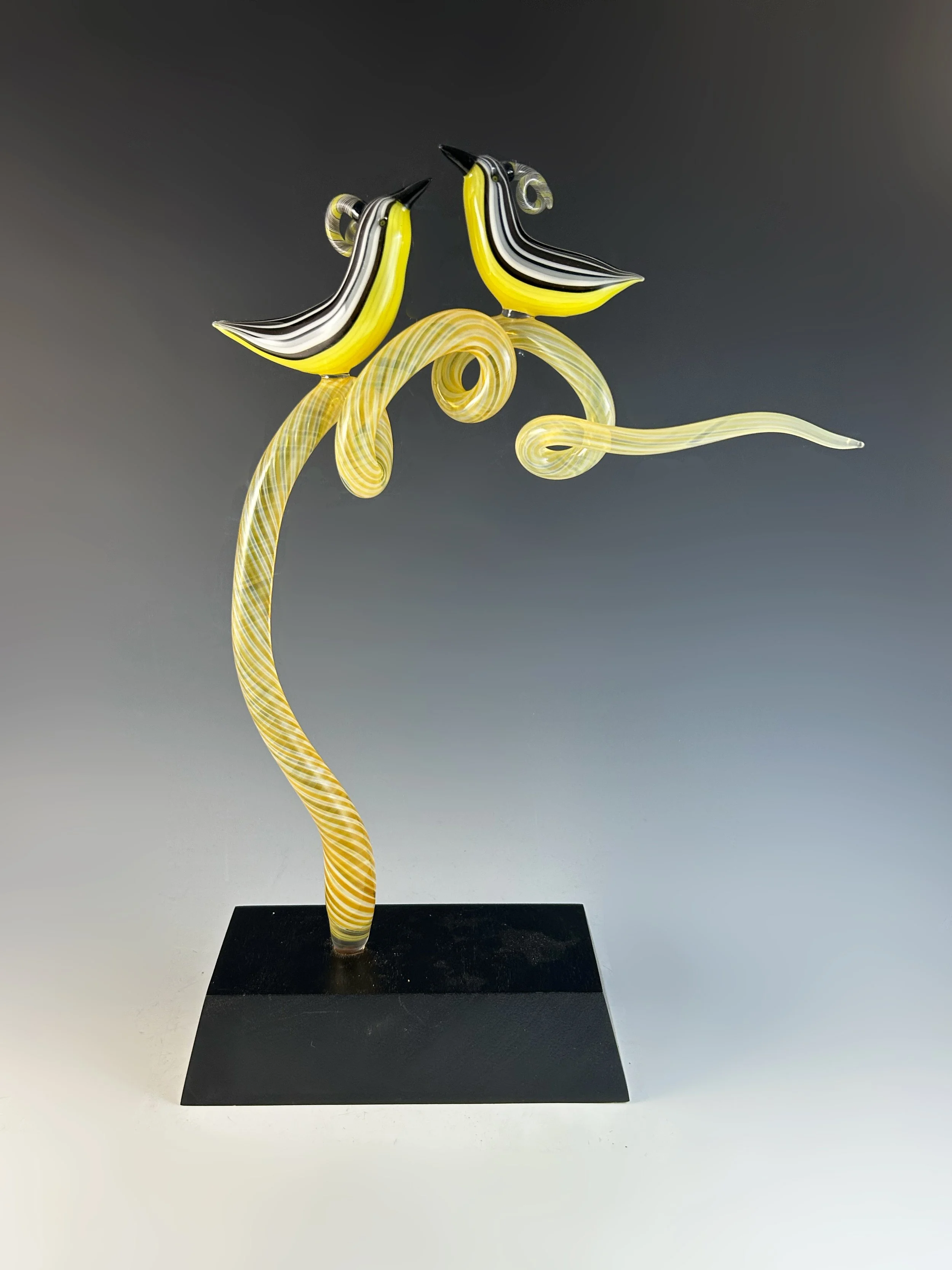 Yellow Lover Bird Splash 2025.jpg