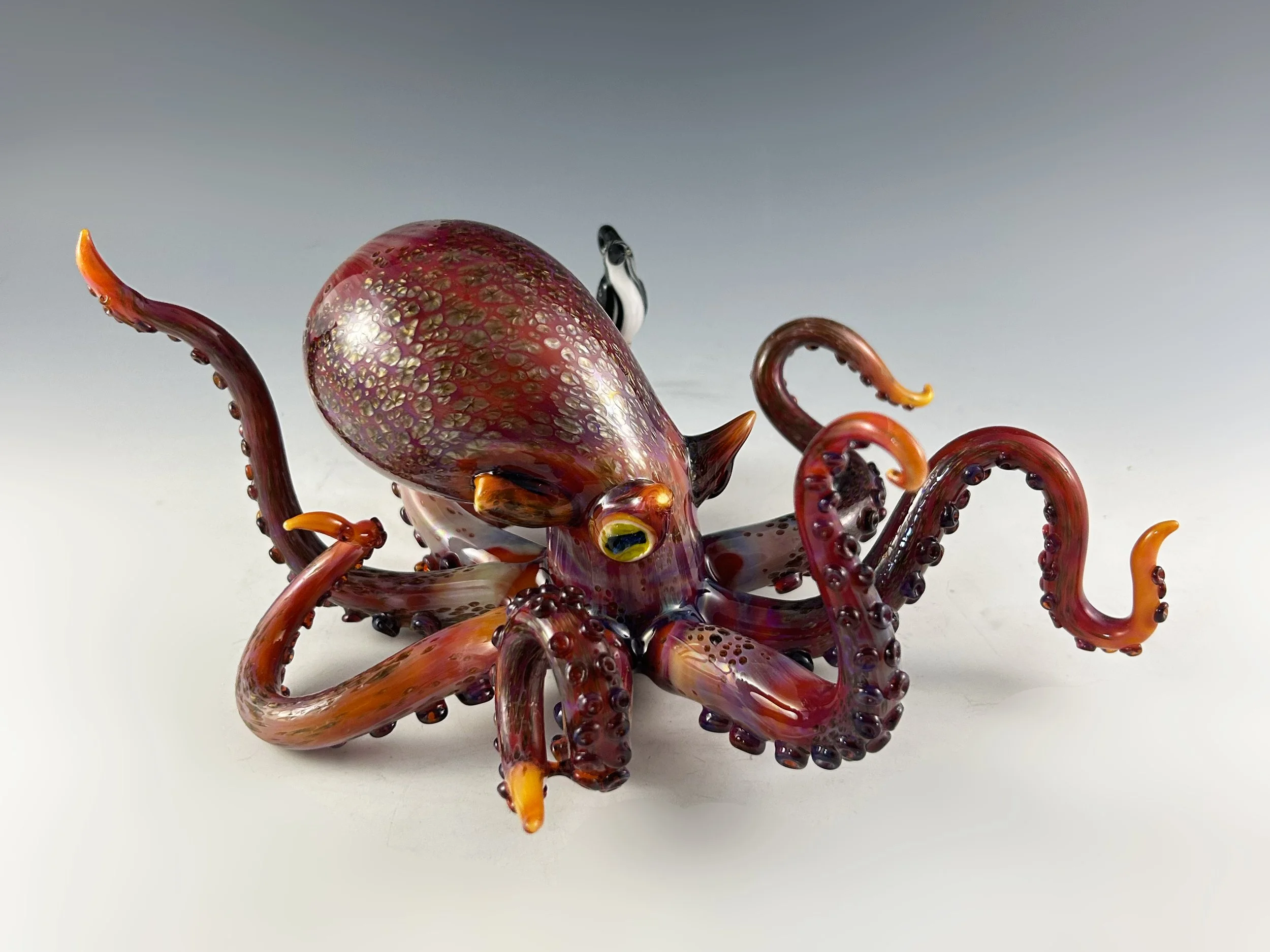 Ink and Feather Octopus 2.jpg