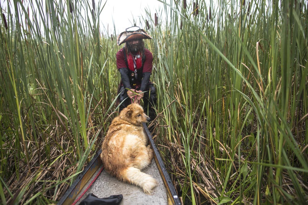 August 18, 2017.
By the time Mike Ranta approached the boundary waters along the United States/Canada border, he had already lost two months to pitiless prairie wind. On Lake of the Woods, Ontario, Ranta pulls through a swamp after losing his way on a projected short cut.
In 2014, Mike Ranta became the first person in history to canoe from the Pacific to Atlantic ocean in a single season, alone, by canoe. Clad in a Métis sash, slaving under his birch bark hat and alongside his canine, Spitzii, the jovial masochist endured 214 days and roughly 8,000 kilometres to achieve the unprecedented goal. In 2016, Ranta found a faster route and bested his own record by fourteen days. Born and raised in Atikokan, Ontario, the forty-five year old was inspired by the tales of voyageurs who fuelled the North American fur trade for nearly 300 years with their unbridled resilience. In 2017, the self proclaimed ‘modern voyageur’, departed Bella Coola, British Columbia, to attempt one final coast-to-coast trip. With months lost to harrowing weather and pitiless wind, after 187 days of obsessed desire, Ranta would quit on Lake Superior, Ontario, at the base of a gale force storm. For the man who could wander the halls of his accolades, on a trip marred by hardship, only one proof remains of Mike Ranta; the journey is the adventure.