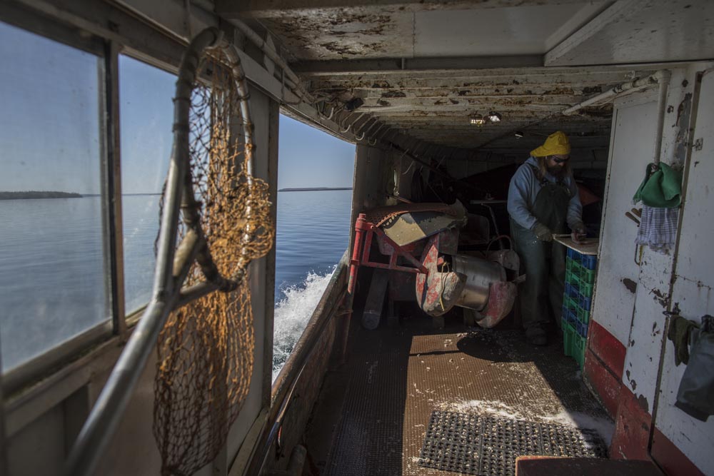 Mike ranta works on play fair II commercial fishing o Herbert fishery on Georgian Bay, Lake Huron, Ontario. Photo/ David Jackson
