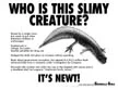 57newt.jpg