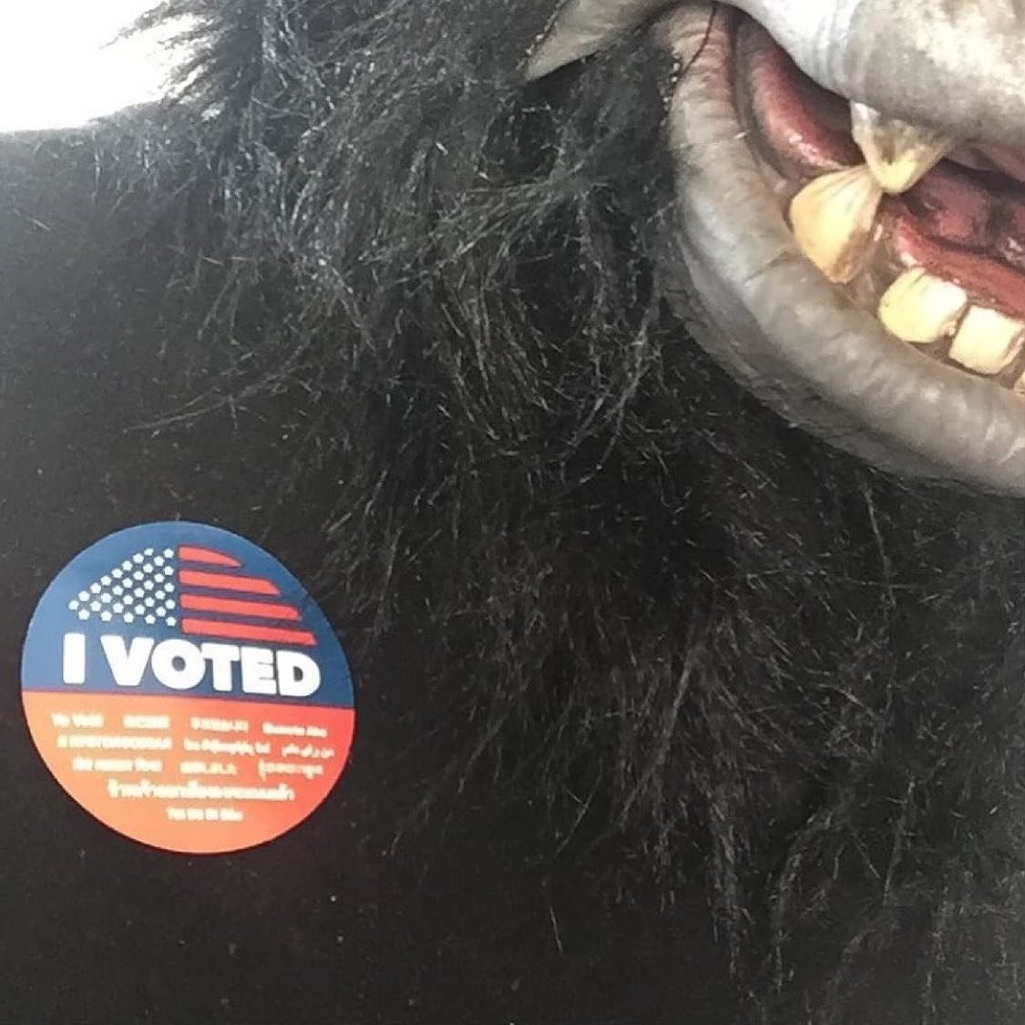 Guerrilla Girls vote against the groping rapist who wants to take away the rights we fought so hard for, so we can reclaim those he already destroyed and fight stronger for human rights on all fronts. We&rsquo;re voting Harris / Walz to keep moving f
