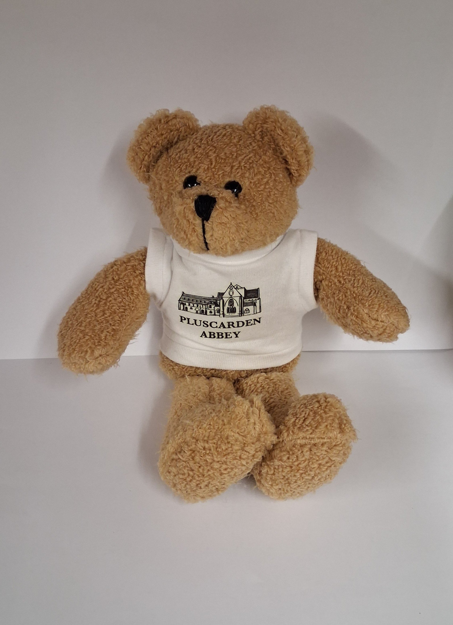 scraggy Teddy Bear.jpg