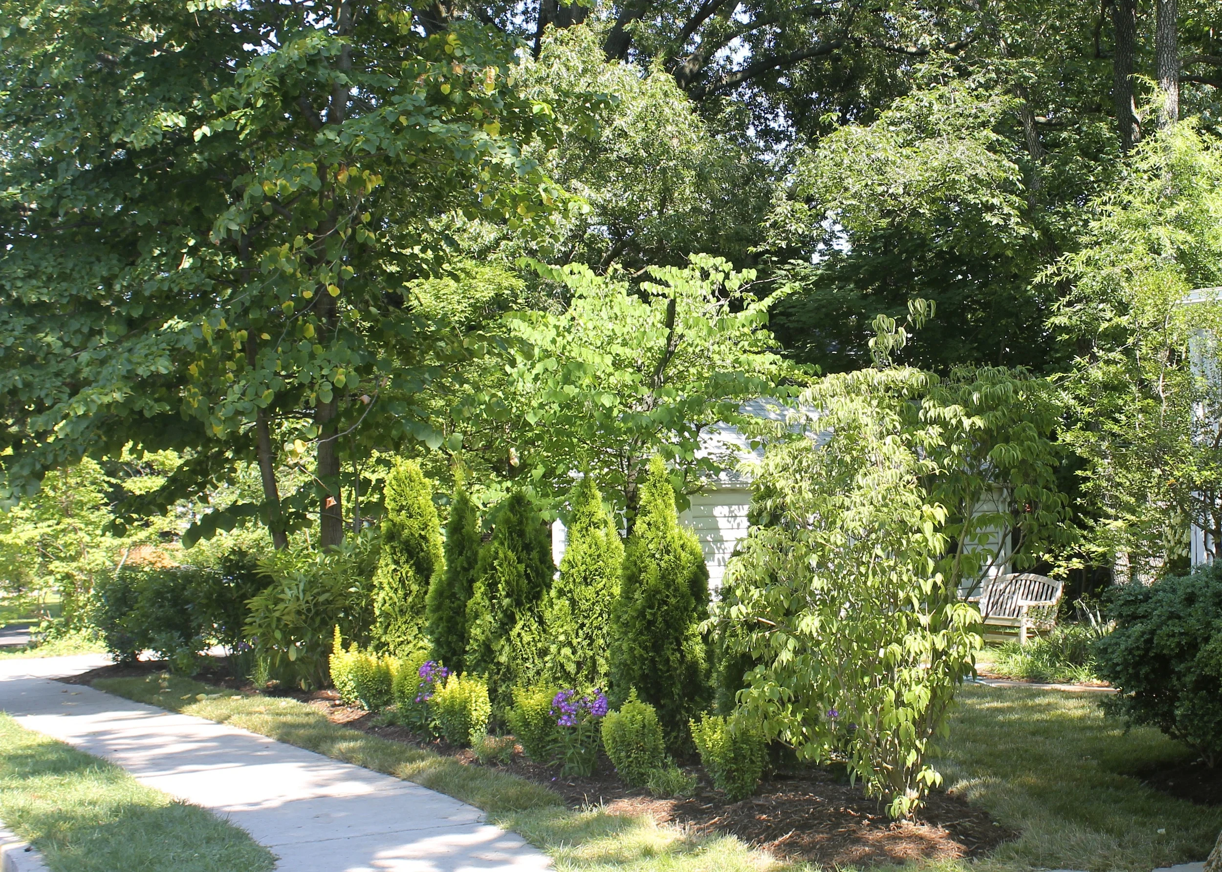 privacy screen (2).JPG