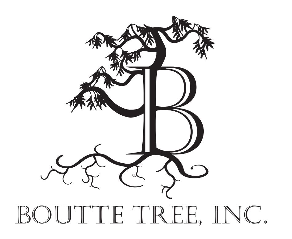 3 Boutte Tree 2.JPG