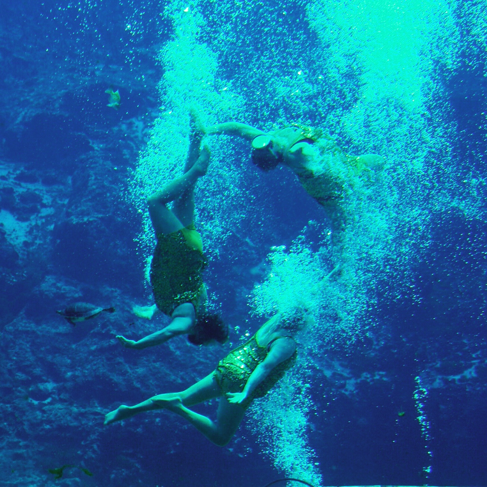 A few of the legendary Sirens of Weeki Wachee.