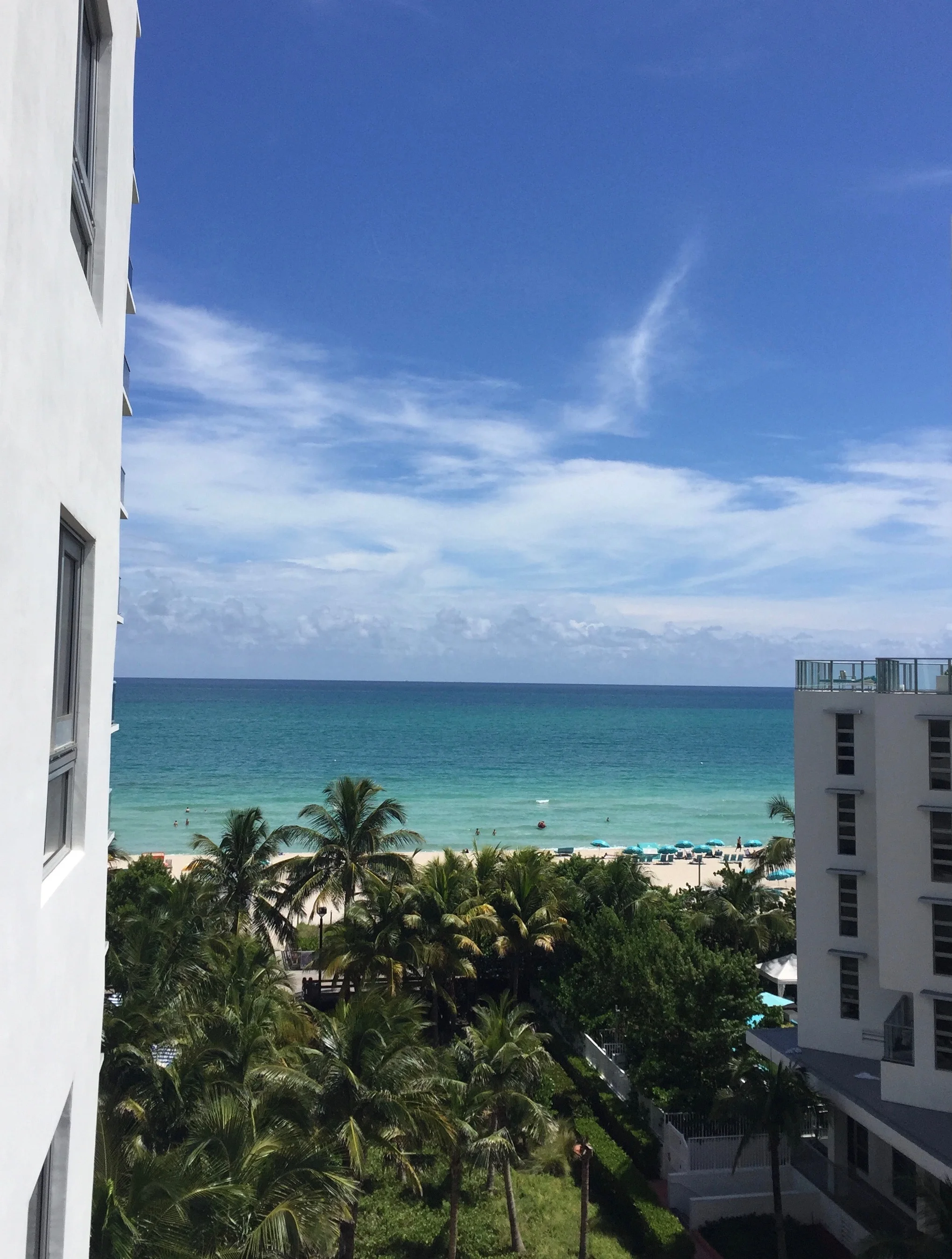 The Confidante Hotel in Miami Beach was a lovely setting for our Miami adventure. Close enough to some amazing restaurants (Pao and Nobu), convenient to the beach, and a quick drive to Wynnwood.