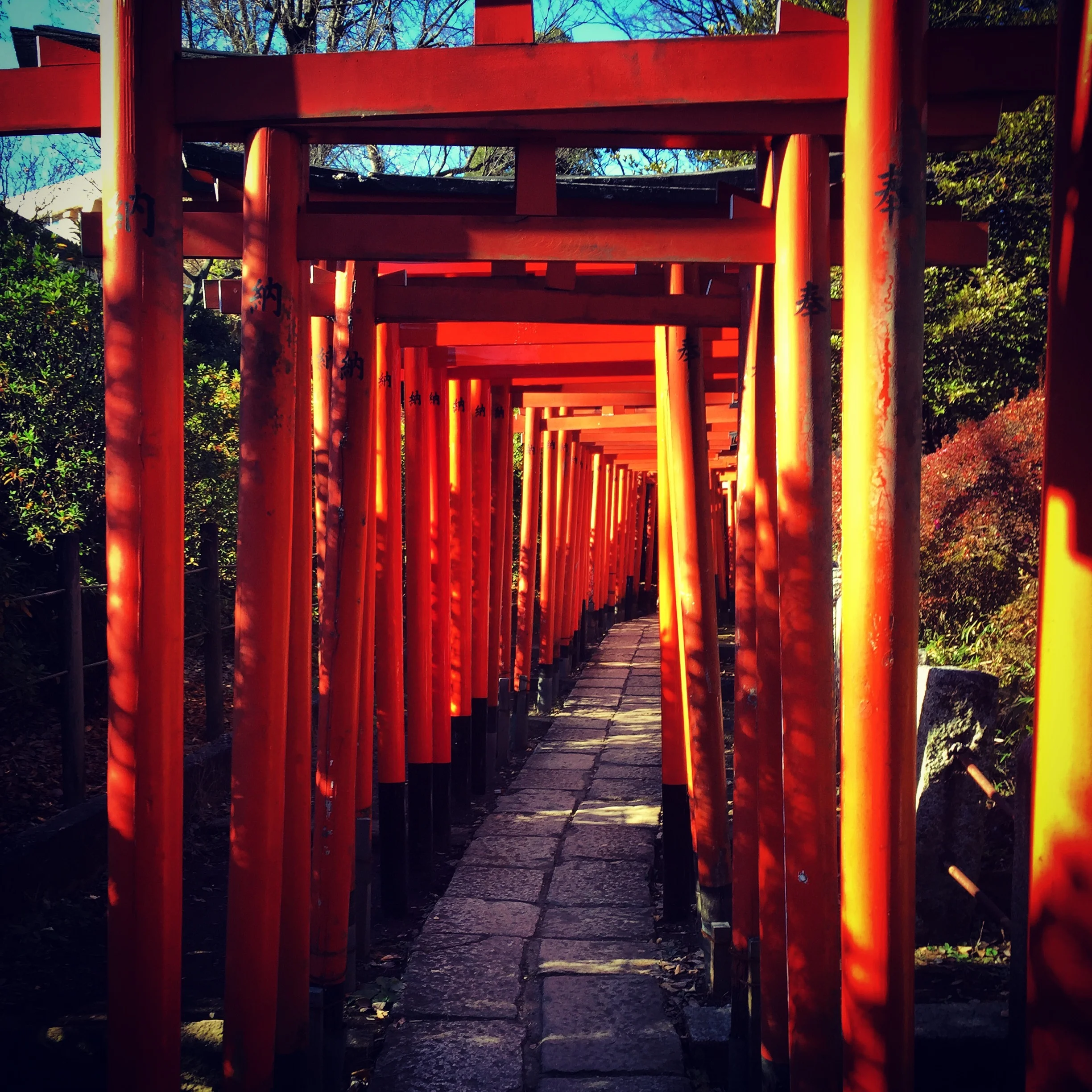 New Year's Day, we visited a local shrine to get our blessings and pick out our fortunes. If you hate your fortune you can fold it up and tie it a tree then try again. Luckily, I got a great fortune!