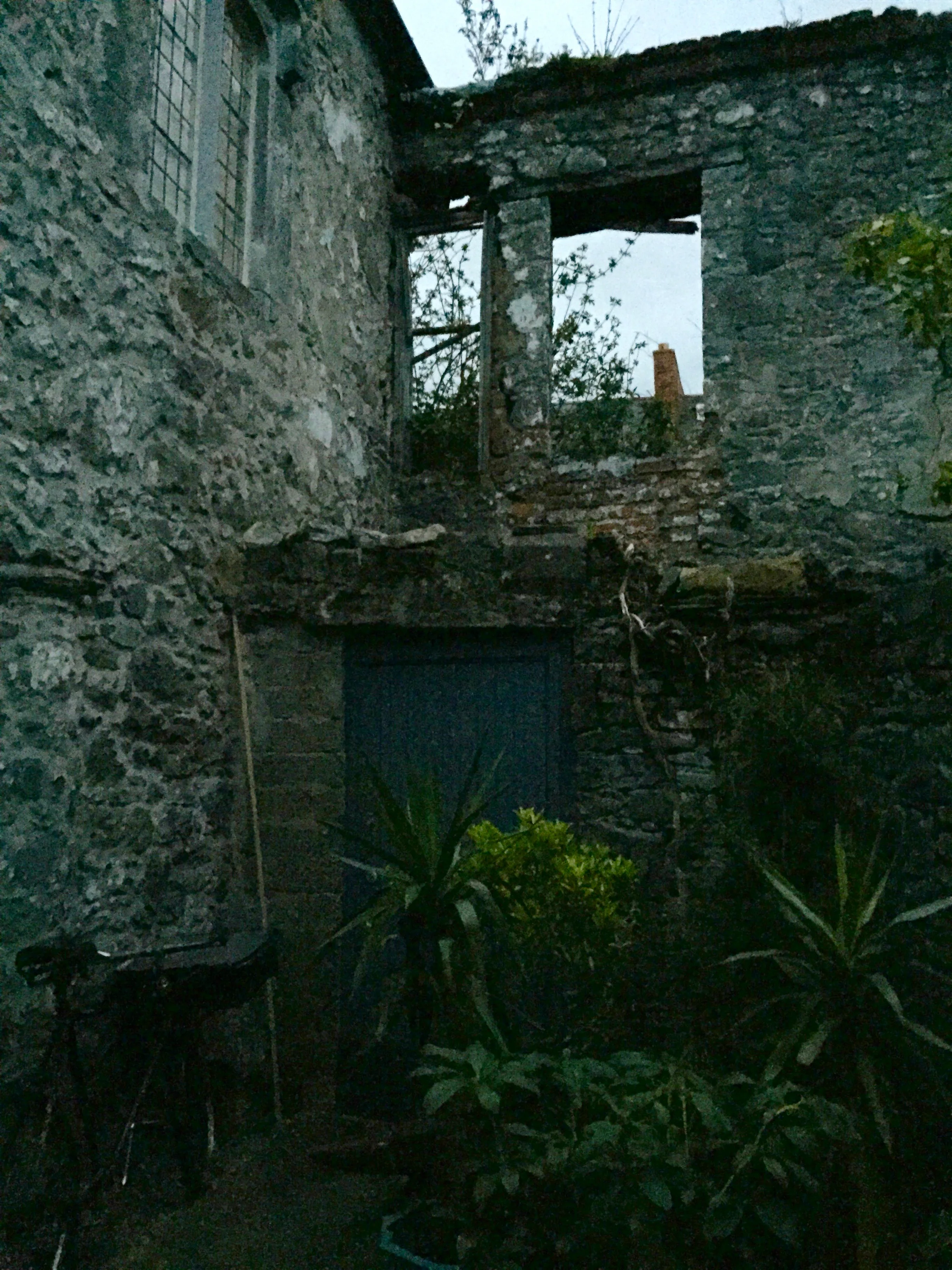 The entrance to the Hole in the Wall , a speakeasy like bar with a great history and the loveliest owner. 