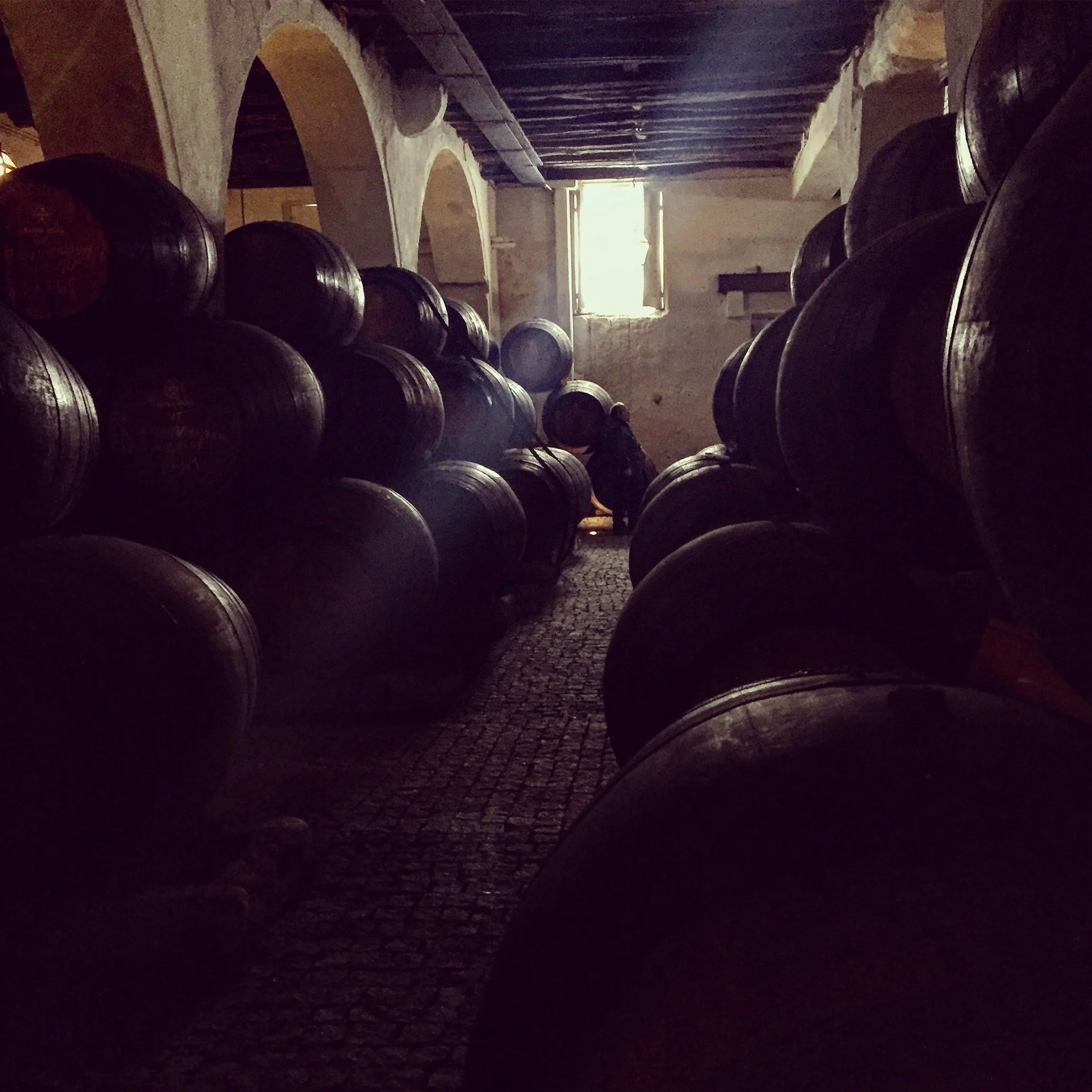 The Port Distillery Cellar of Ramos Pinto. 