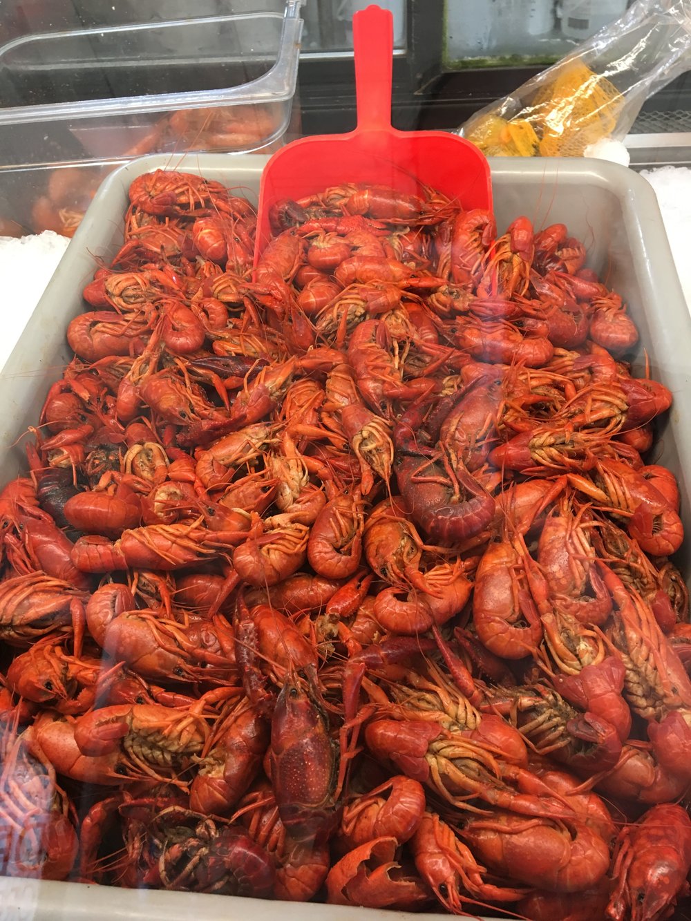 Crawfish in Louisiana.JPG