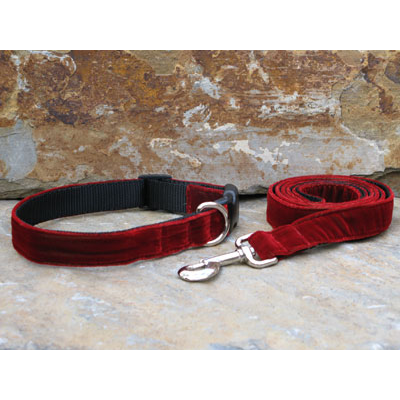 red velvet dog collar