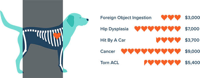 60 HQ Pictures Dog Insurance Comparison Chart / The Economics Of Pet Health Insurance Palisades Hudson Financial Group