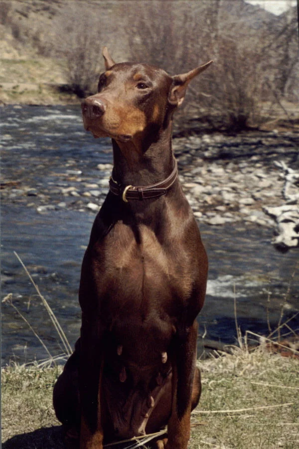athena river.jpg