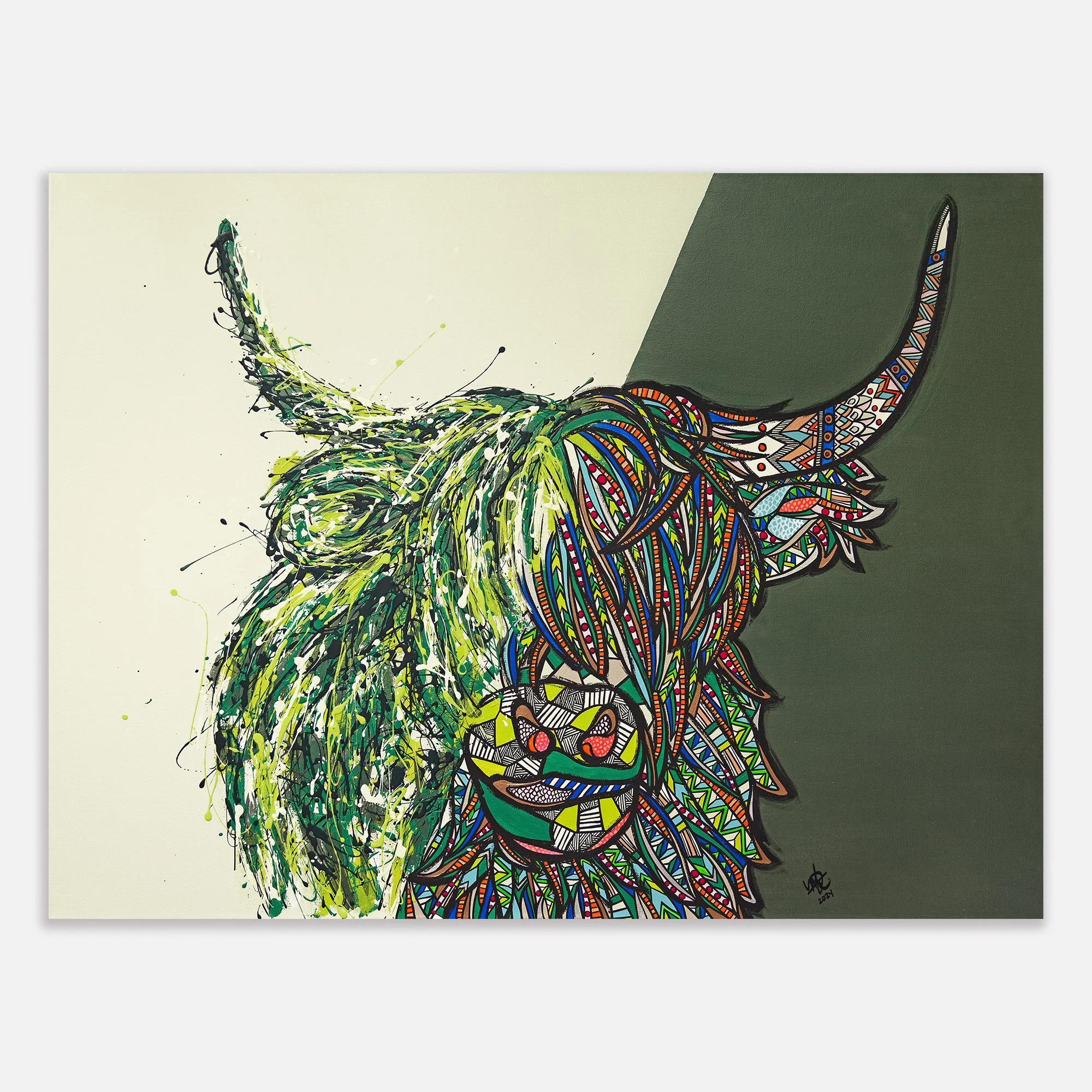 Scottish Cow