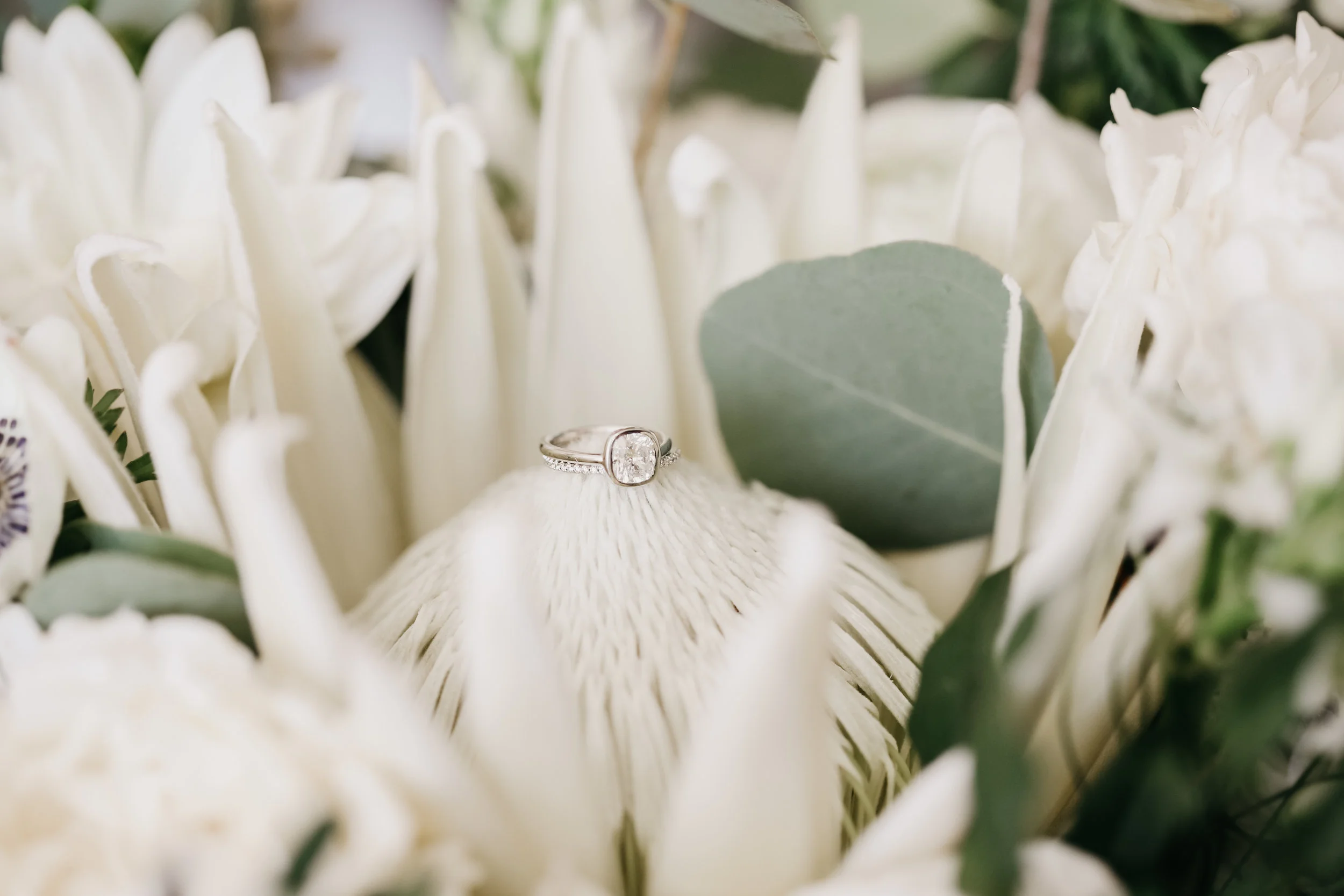rings-2137.jpg
