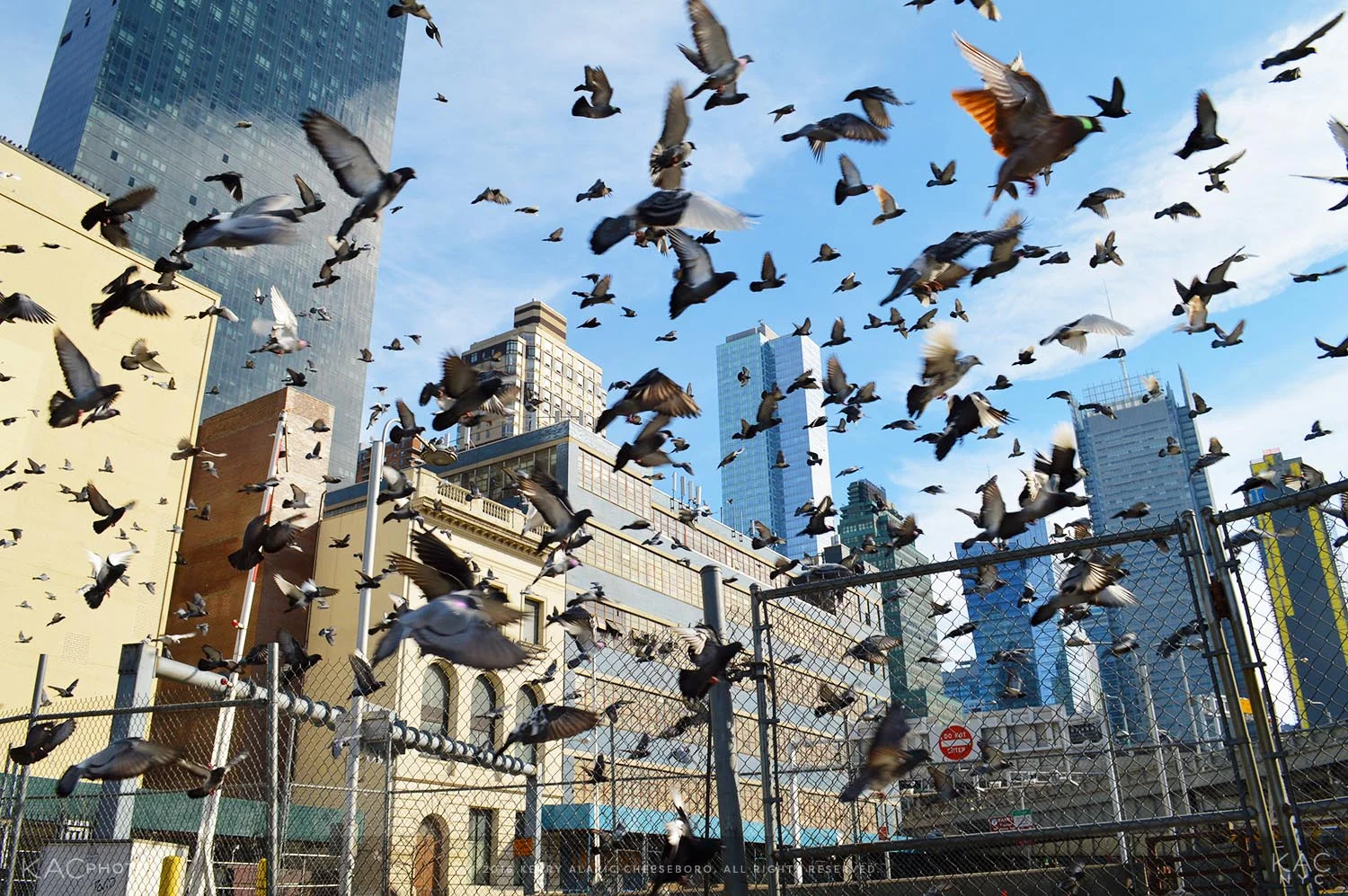 11:07 AM, February 6, 2016