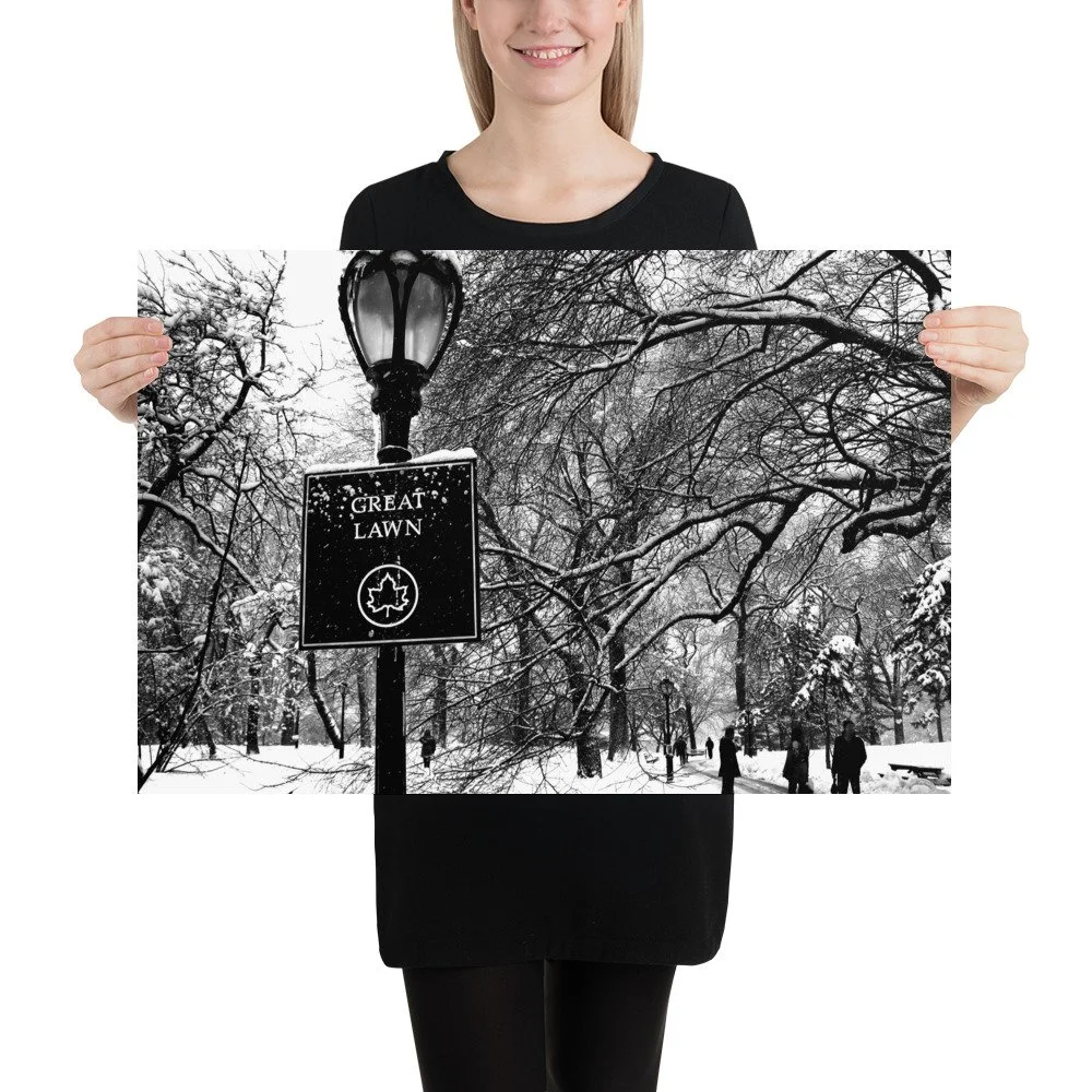 enhanced-matte-paper-poster-(in)-20x30-person-6655d41ed79a4.jpg
