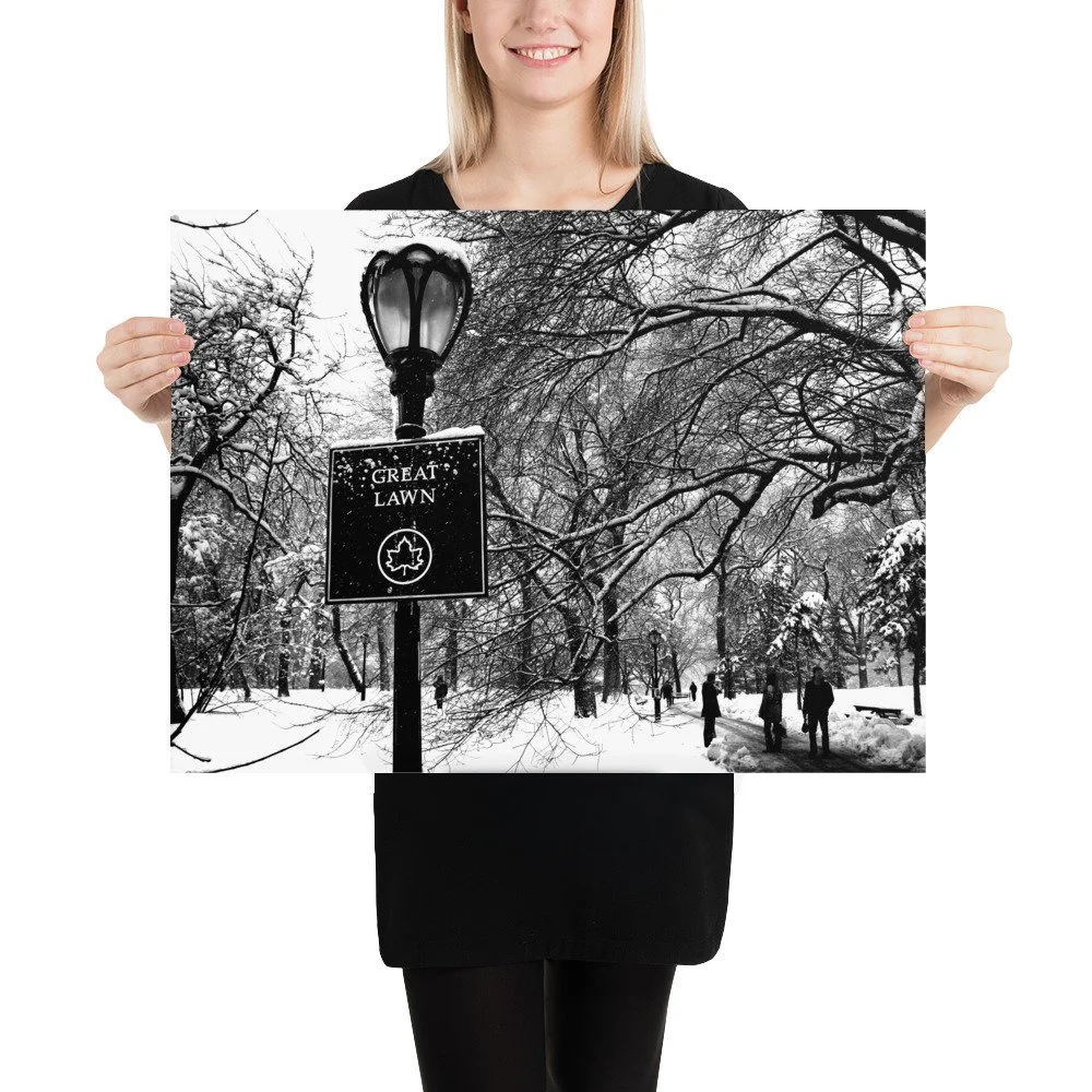 enhanced-matte-paper-poster-(in)-18x24-person-6655d41ed8c48.jpg