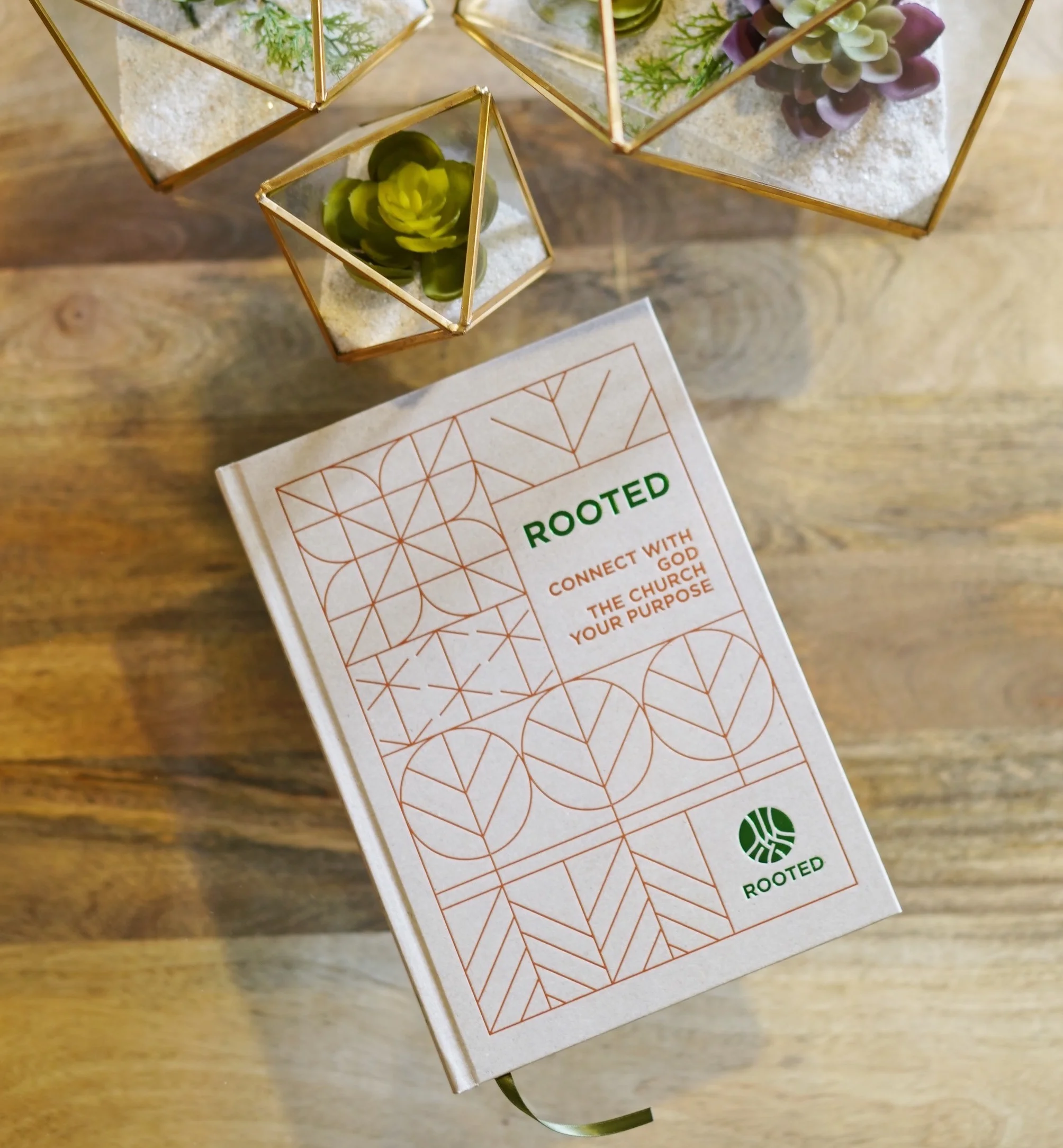 Rooted Book 2.jpg