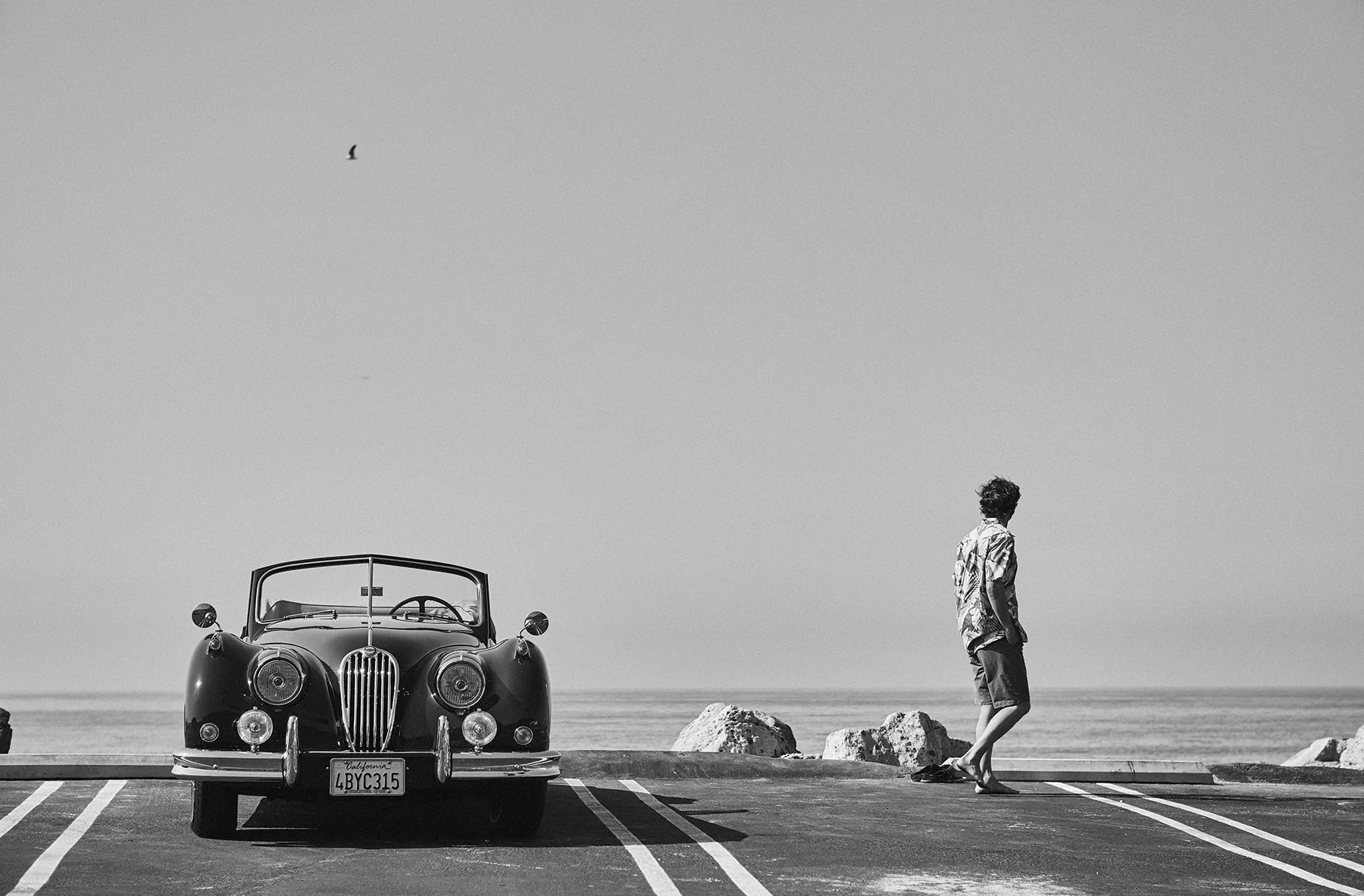 _K4A4780bw.jpg