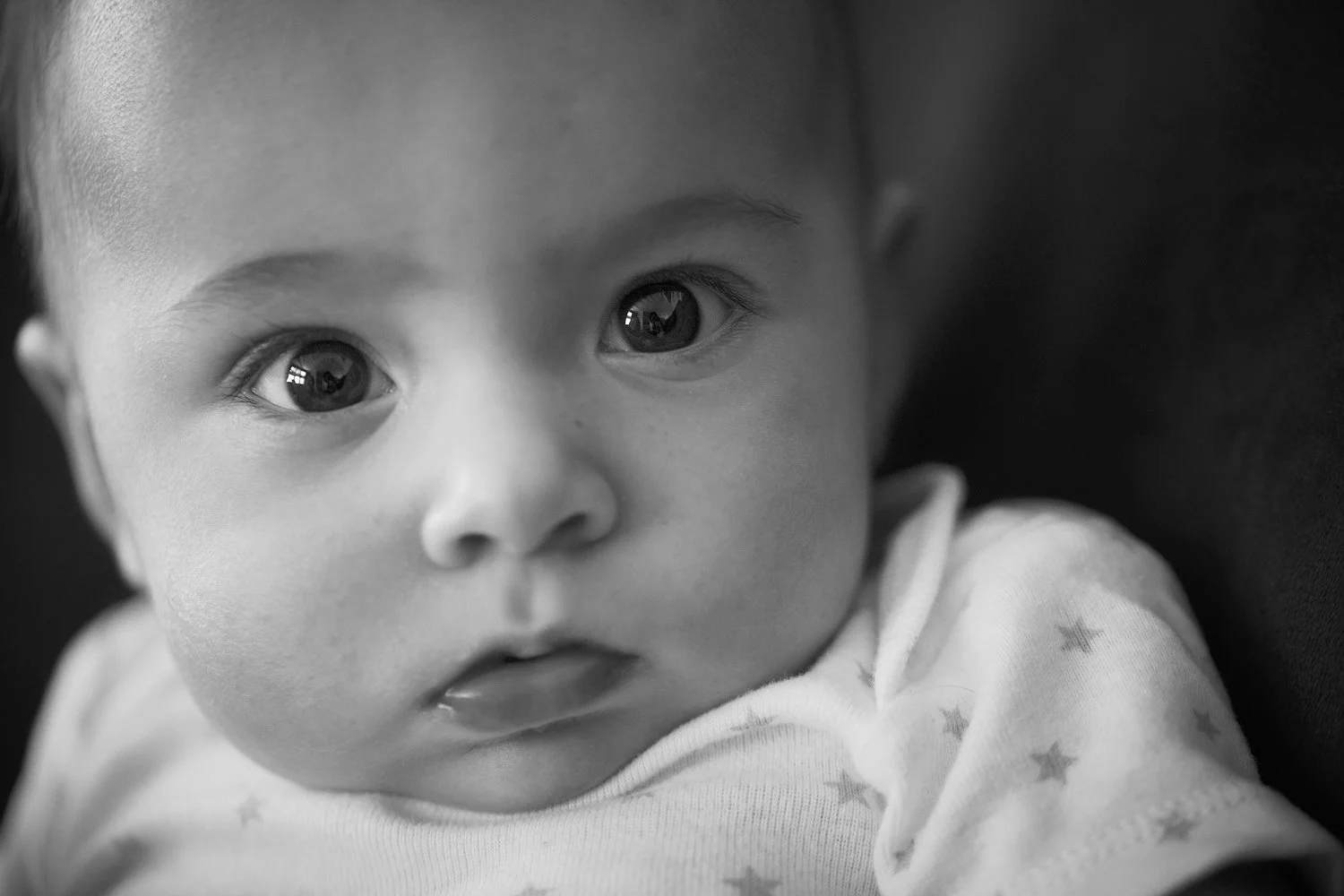 delphine024_small.jpg