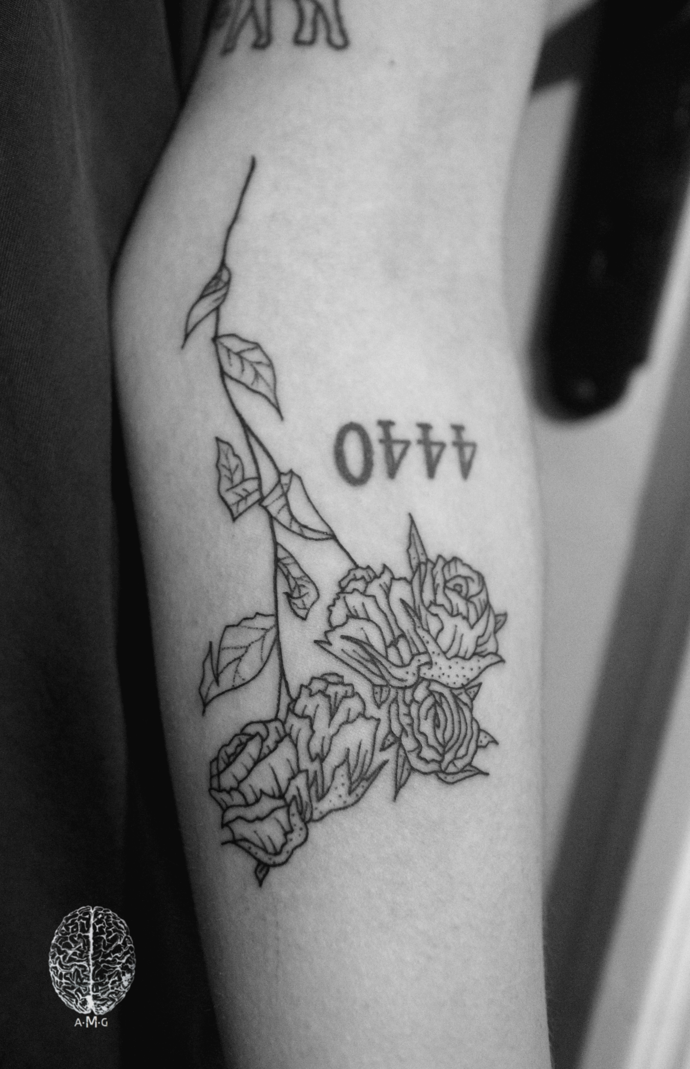 Dried Roses
