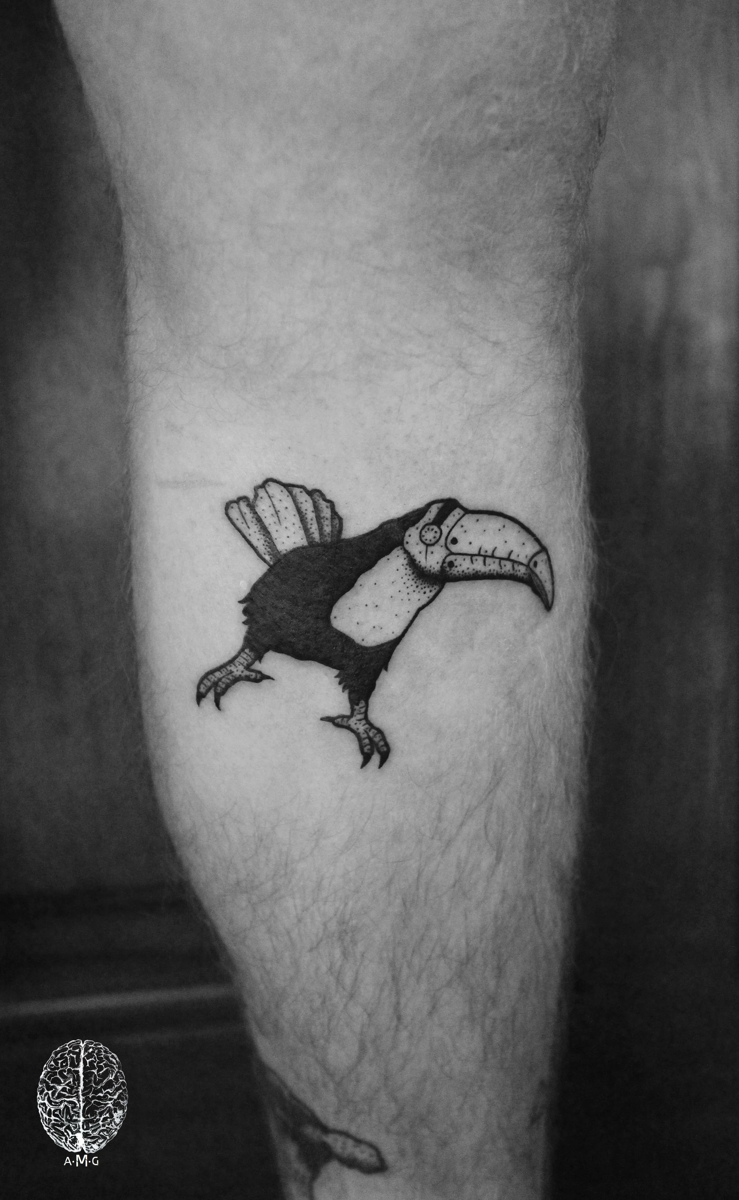 Bubonic Toucan #2