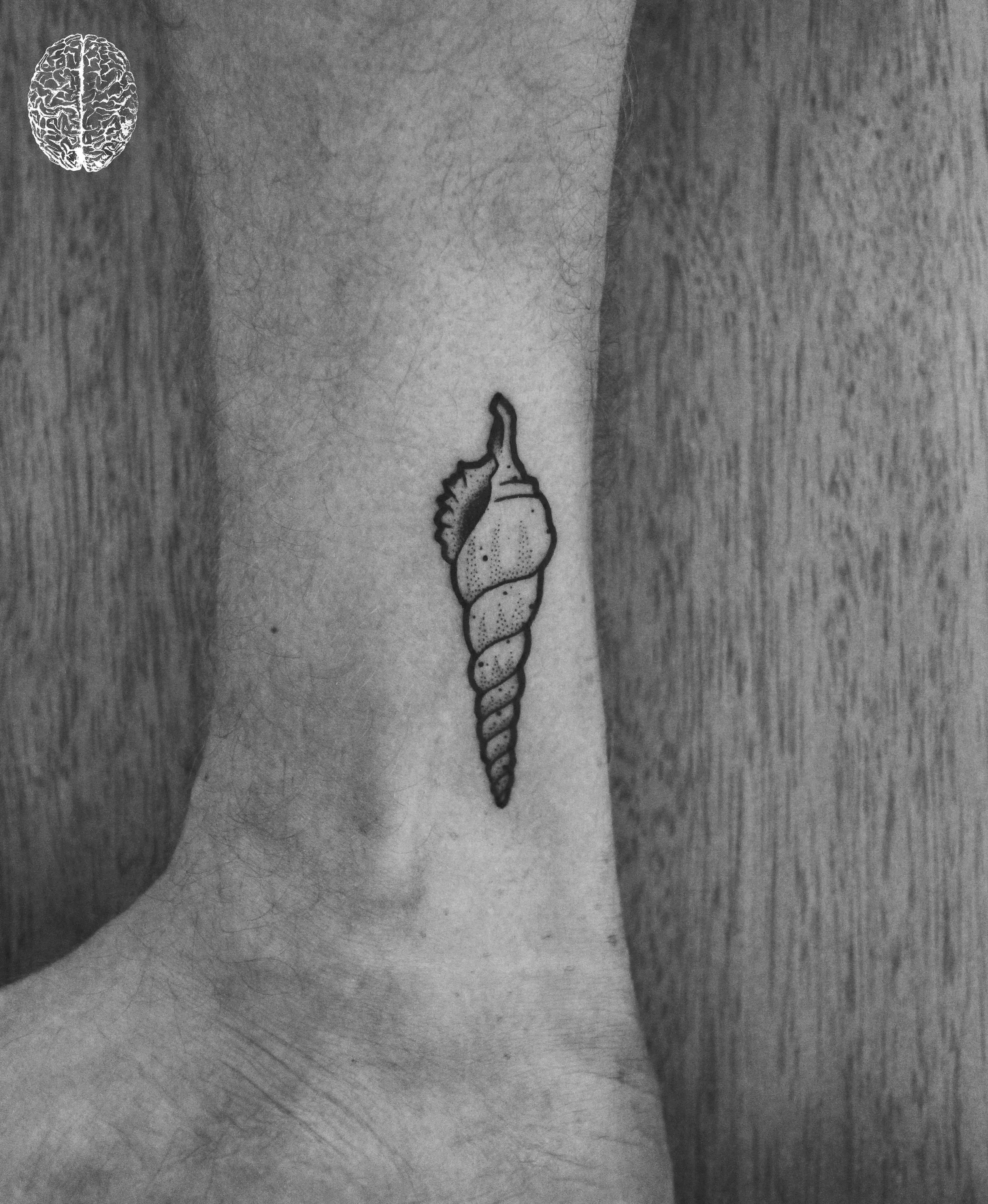 Seashell #11