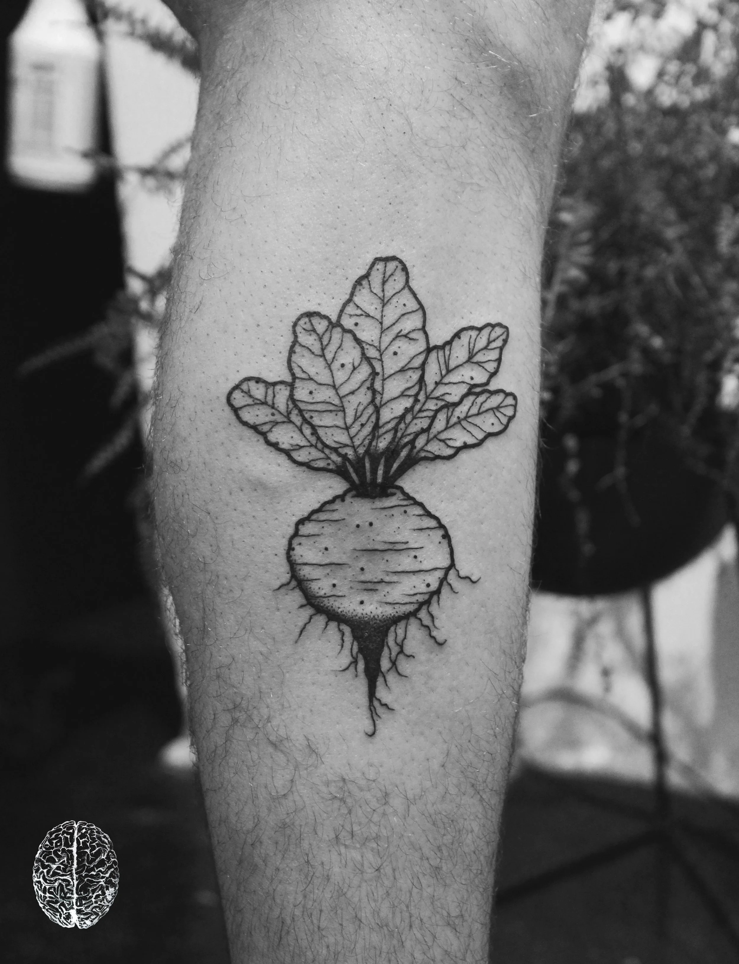 Beet