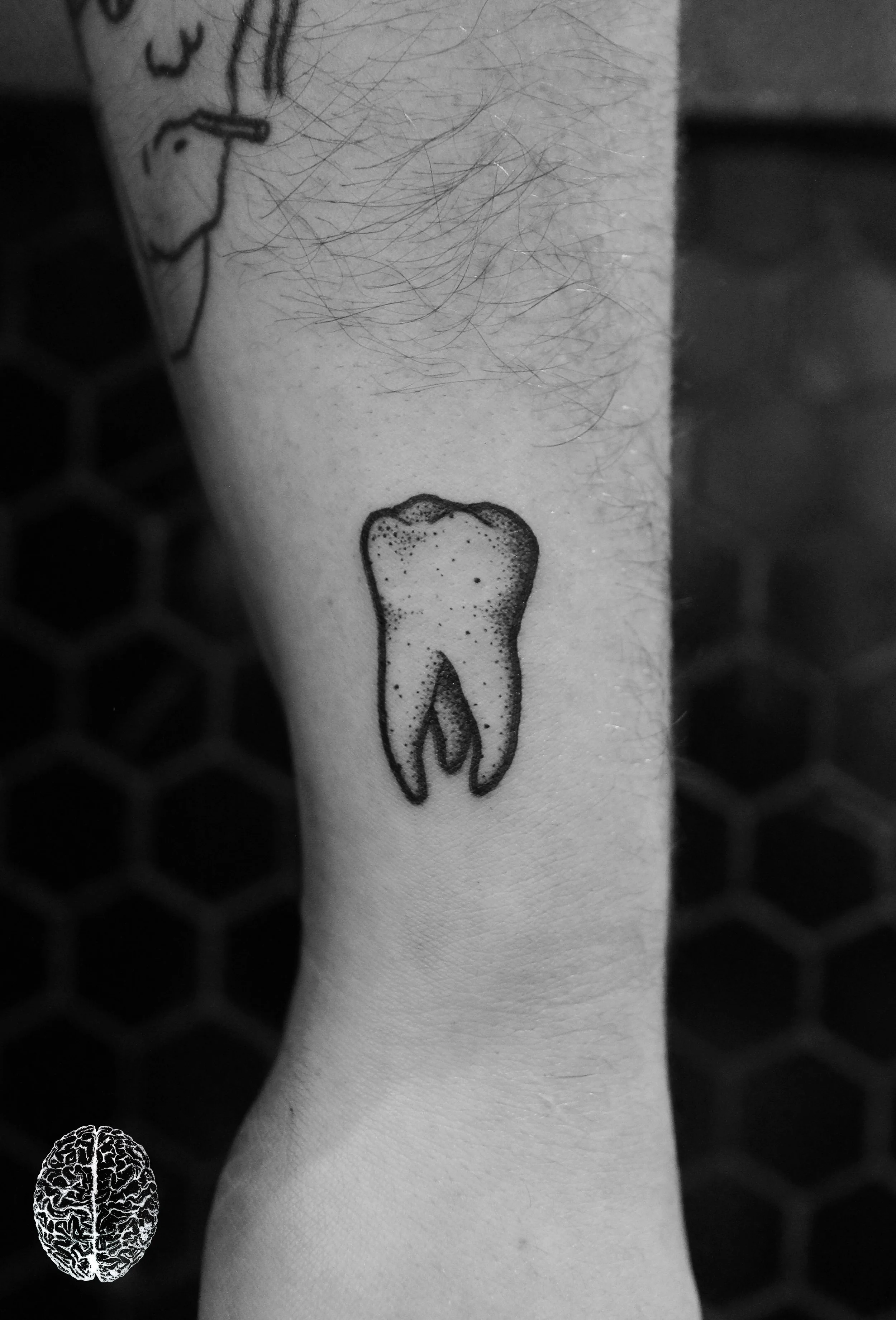 Molar