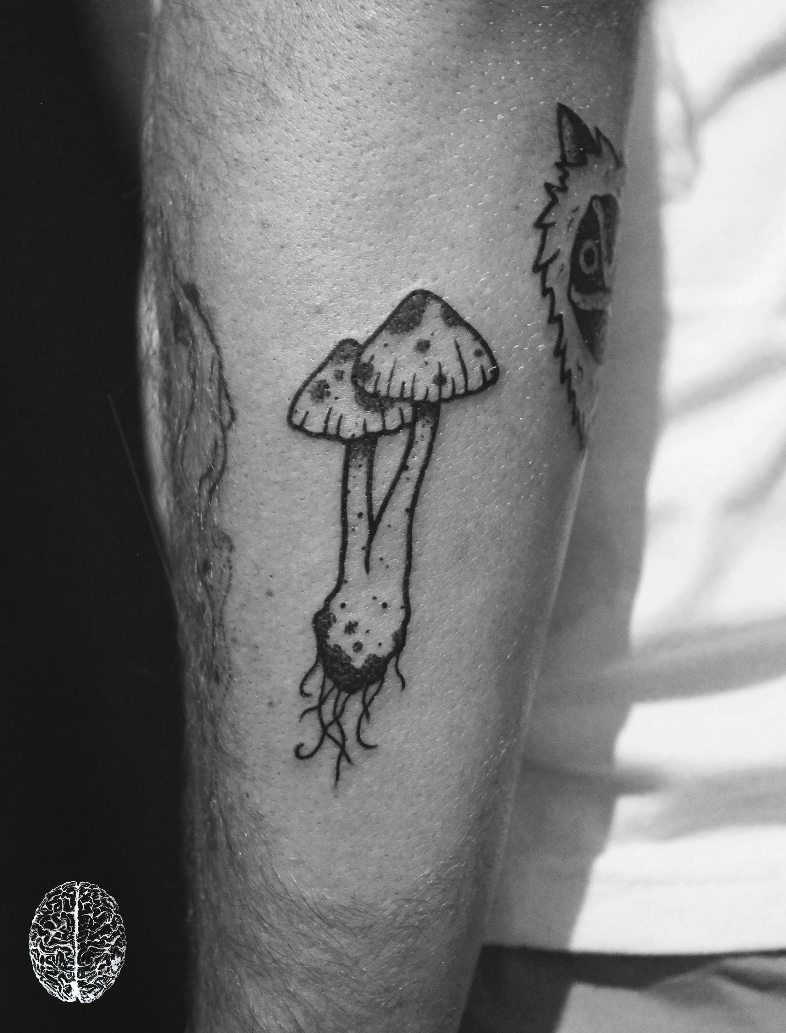Mushroom #2