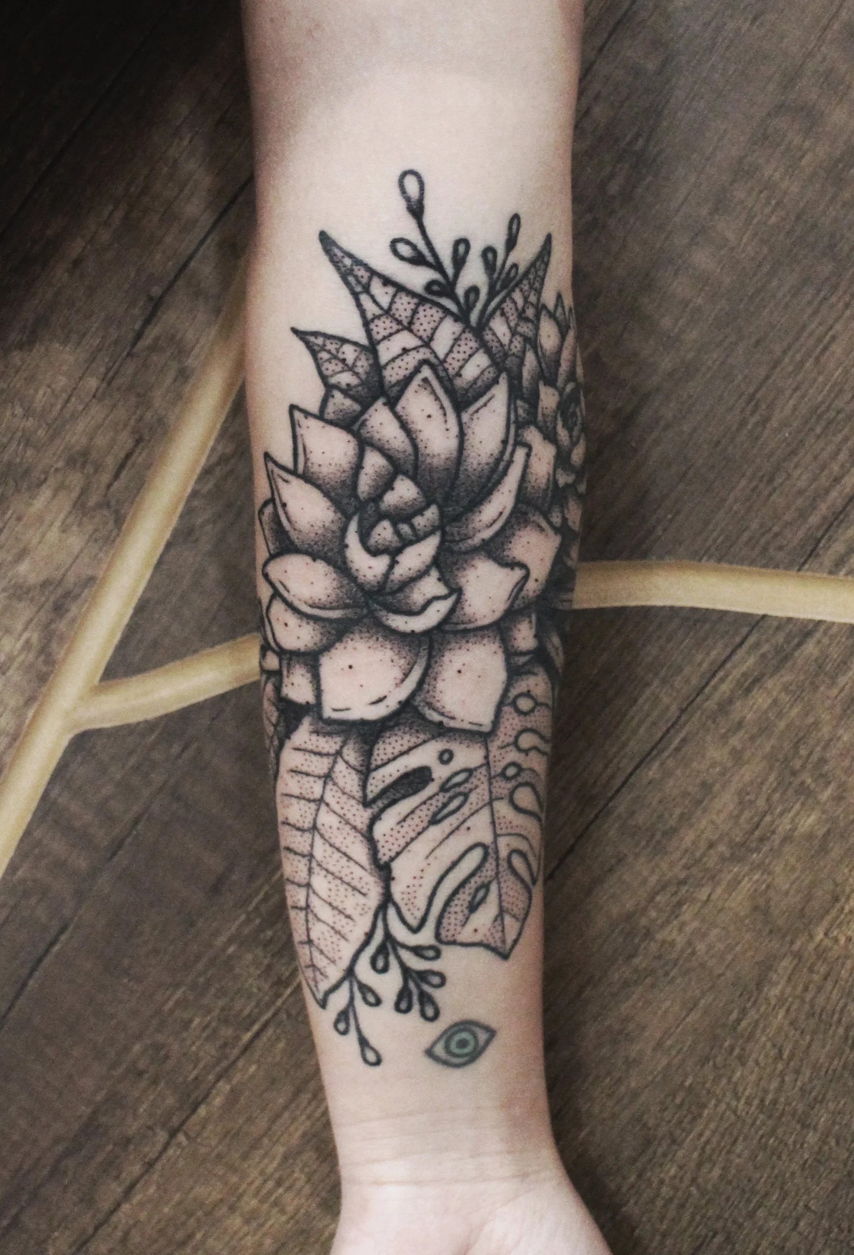 Jungle Plants & Succulents 2