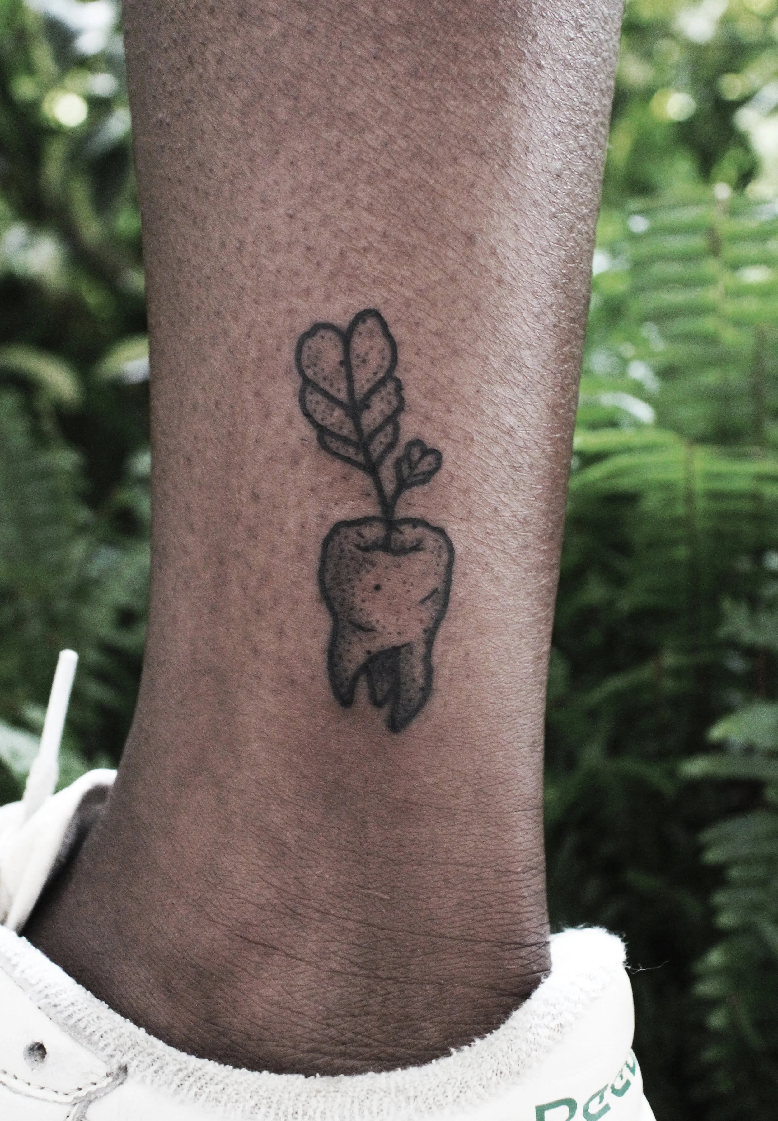 Leafy Tooth