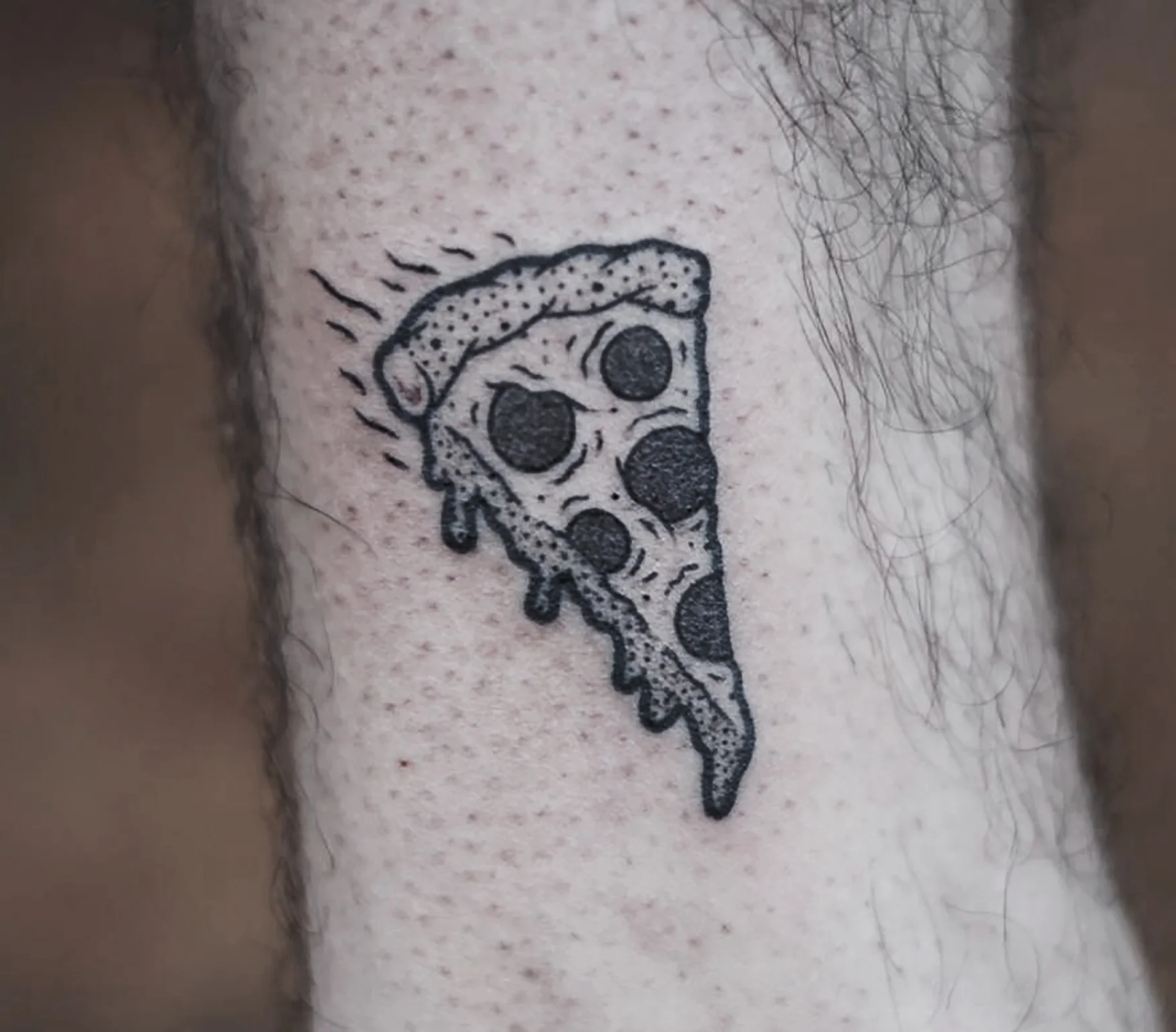 Melty Pizza Slice