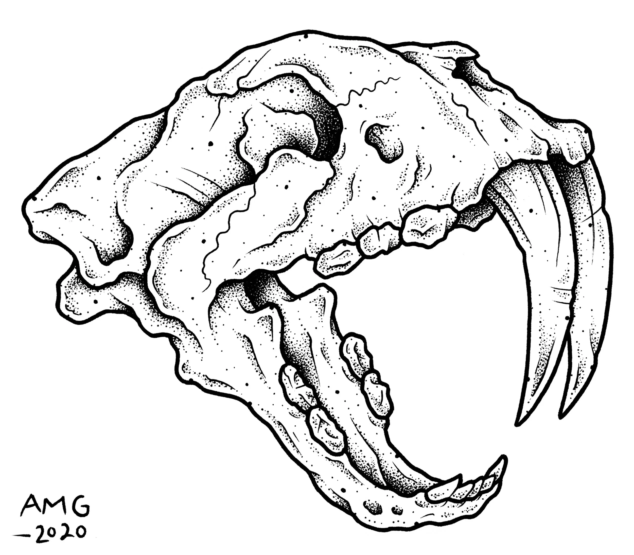 Sabretooth Skull.jpg