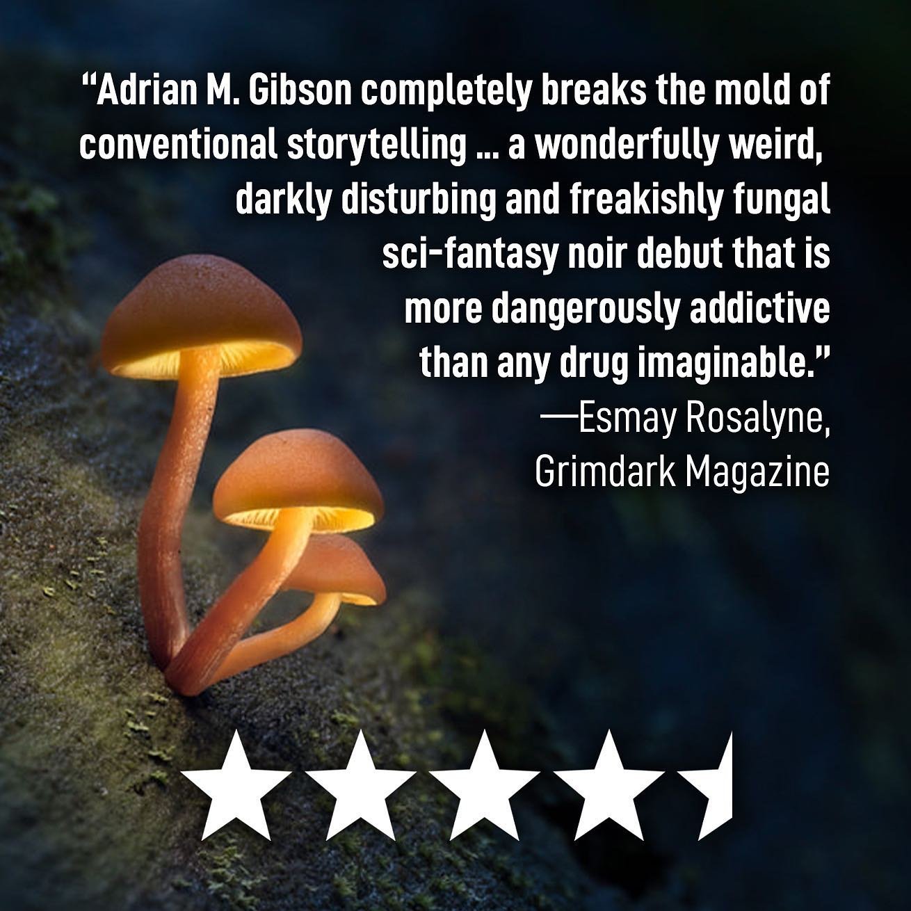 This 4.5⭐️ review of Mushroom Blues by @esmayrosalyne still makes me smile each time I read it. Read the full review on @grimdark.magazine.

BUY IT TODAY in paperback/hardcover/eBook on Amazon or read it FREE on Kindle Unlimited.
&bull;
&bull;
&bull;