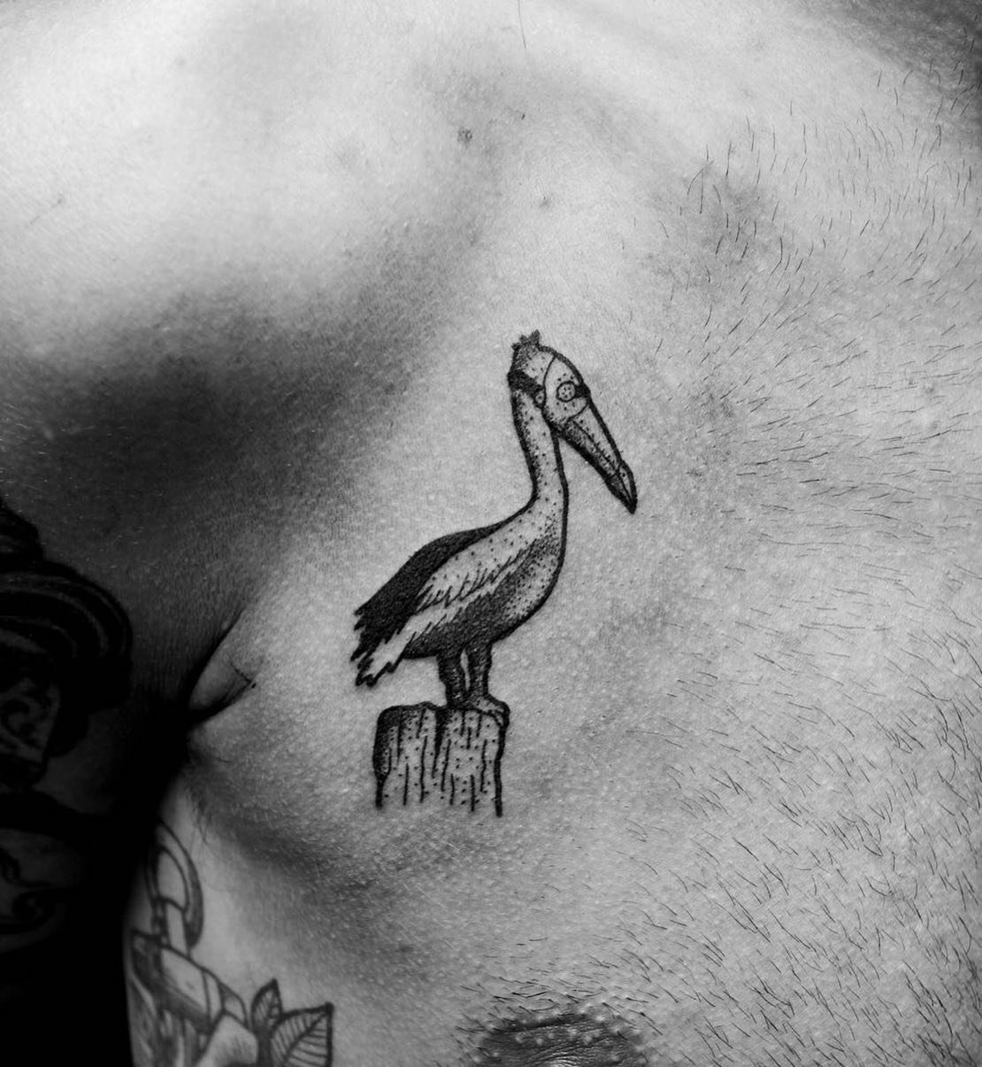 A plague pelican for #TatTuesday this week, cause I finished watching the @fallout TV show and a whole plethora of disaster scenarios are on my mind 😅
Tattooed in Berlin, 2016.
&bull;
&bull;
&bull;
#amgtattoo #dotworktattoo #blackworknow #tattoocoll