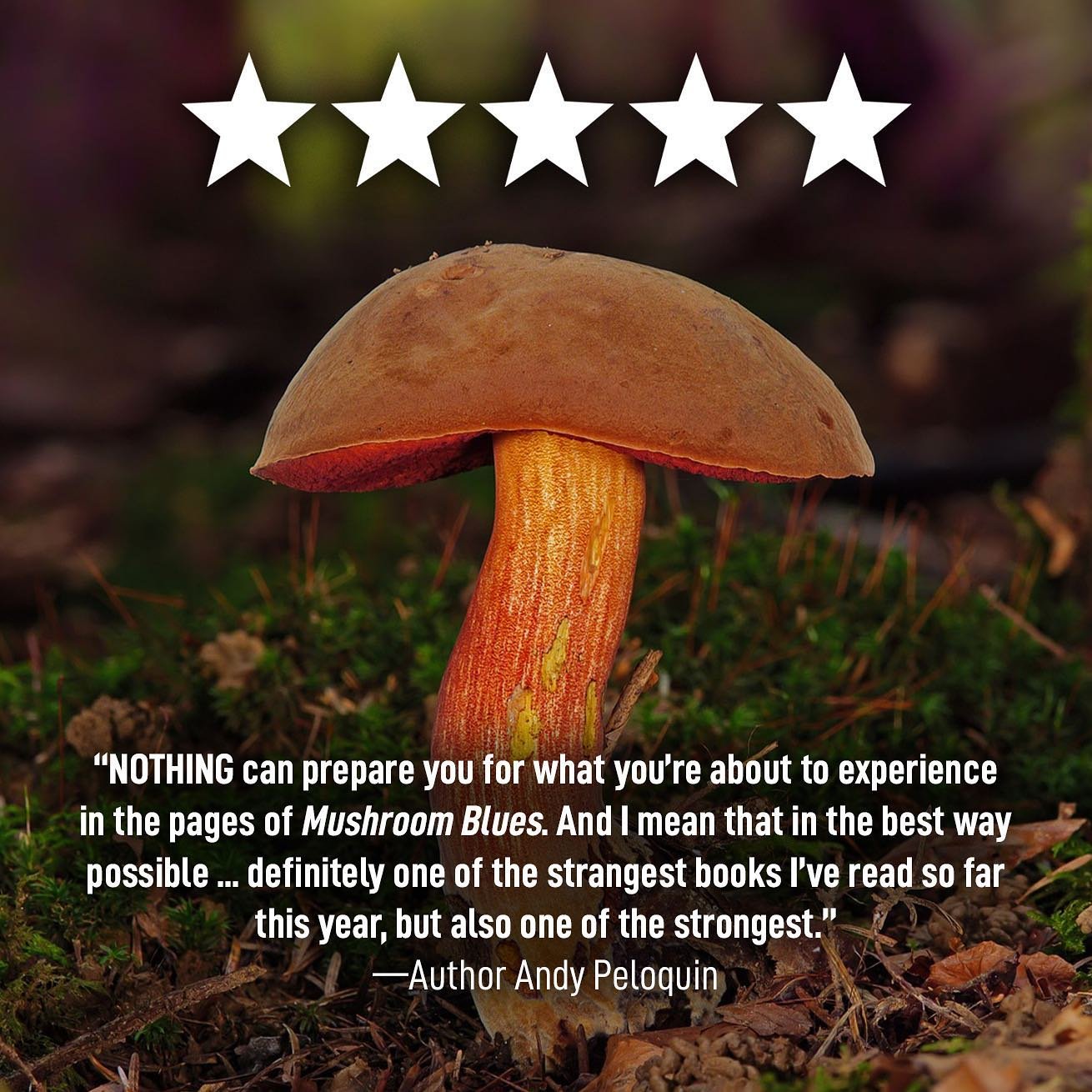 Despite being intimidatingly tall, @andypeloquinauthor has heaped nothing but praise on my debut novel, #MushroomBlues. Thank you for all of the support, my friend 🍄💙

BUY IT TODAY in paperback/hardcover/eBook on Amazon or read it FREE on Kindle Un