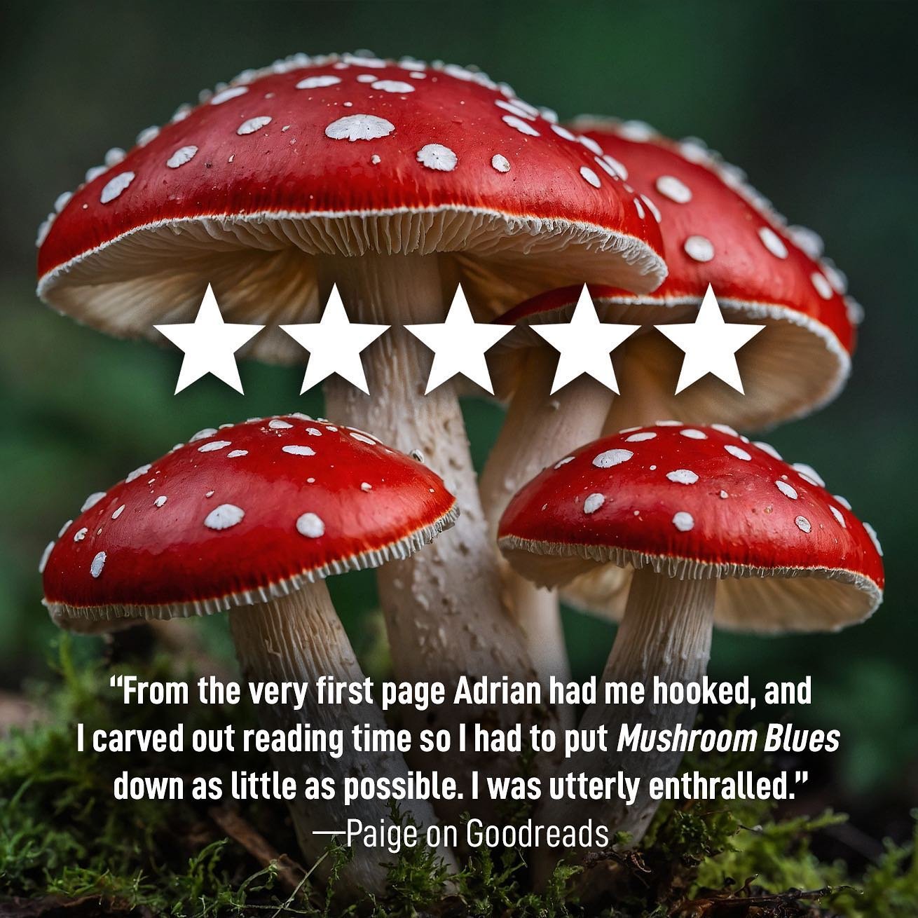 #MushroomBlues has been getting such positive reception from the blogging community, and this 5⭐️ from FanFiAddict reviewer @wordsofapaige is yet another that made my heart melt 🍄💙

BUY IT TODAY in paperback/hardcover/eBook on Amazon or read it FRE
