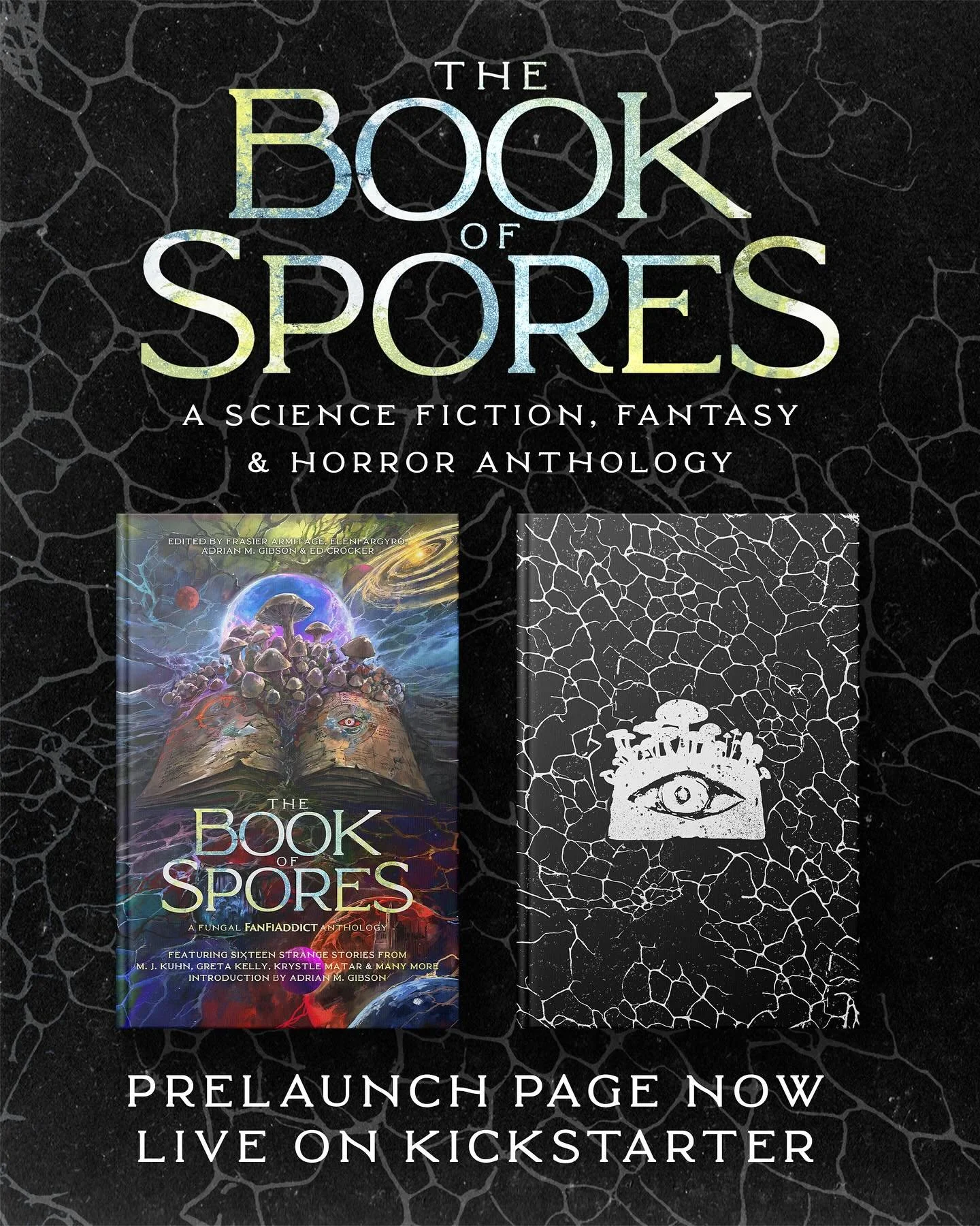 I&rsquo;m in awe of the support we&rsquo;ve received today for THE BOOK OF SPORES. This community came together like a colony of mushrooms to spread the word (and spores) about this anthology. From everyone involved in this project, THANK YOU 🍄❤️

T