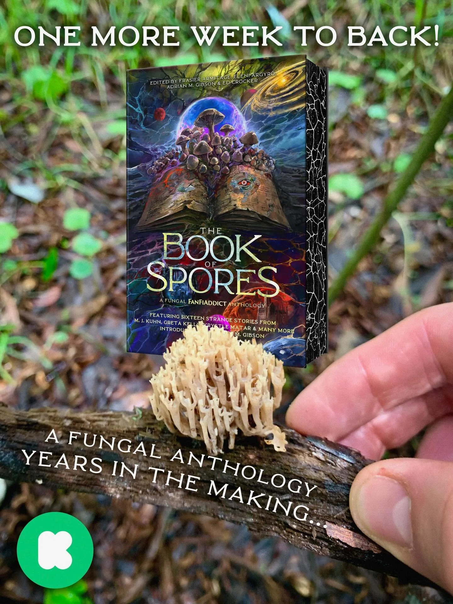 🍄 ONE MORE WEEK 🍄
This is the last week to back THE BOOK OF SPORES anthology on Kickstarter!!! The campaign officially wraps up on Dec. 4, so make sure to support the project while you can.

Thank you to all our backers. You&rsquo;ve helped to make