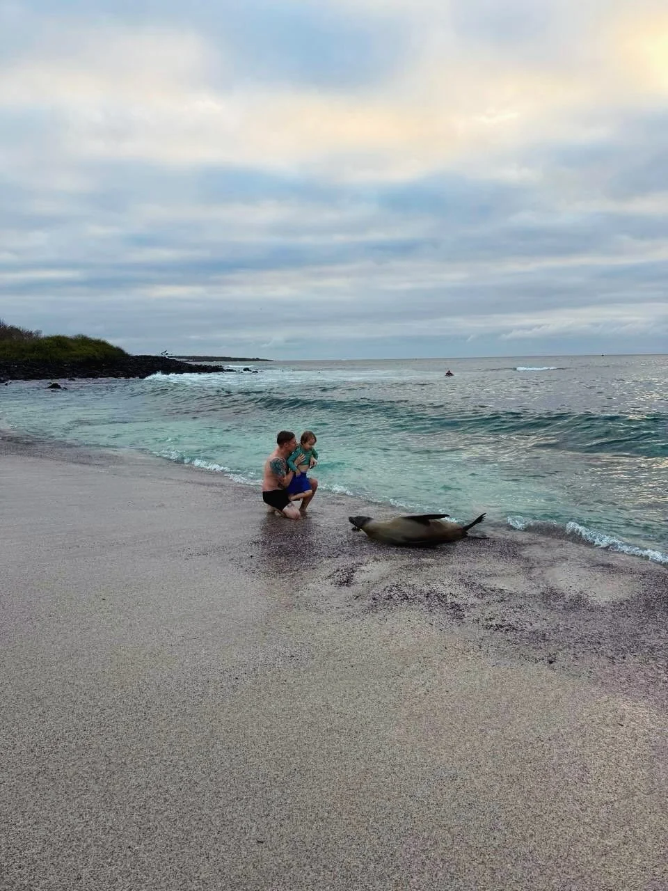 🐢 GAL&Aacute;PAGOS PHOTO DROP 🦈
San Cristobal (soooooo many sea lions!!!) and Isla Espa&ntilde;ola