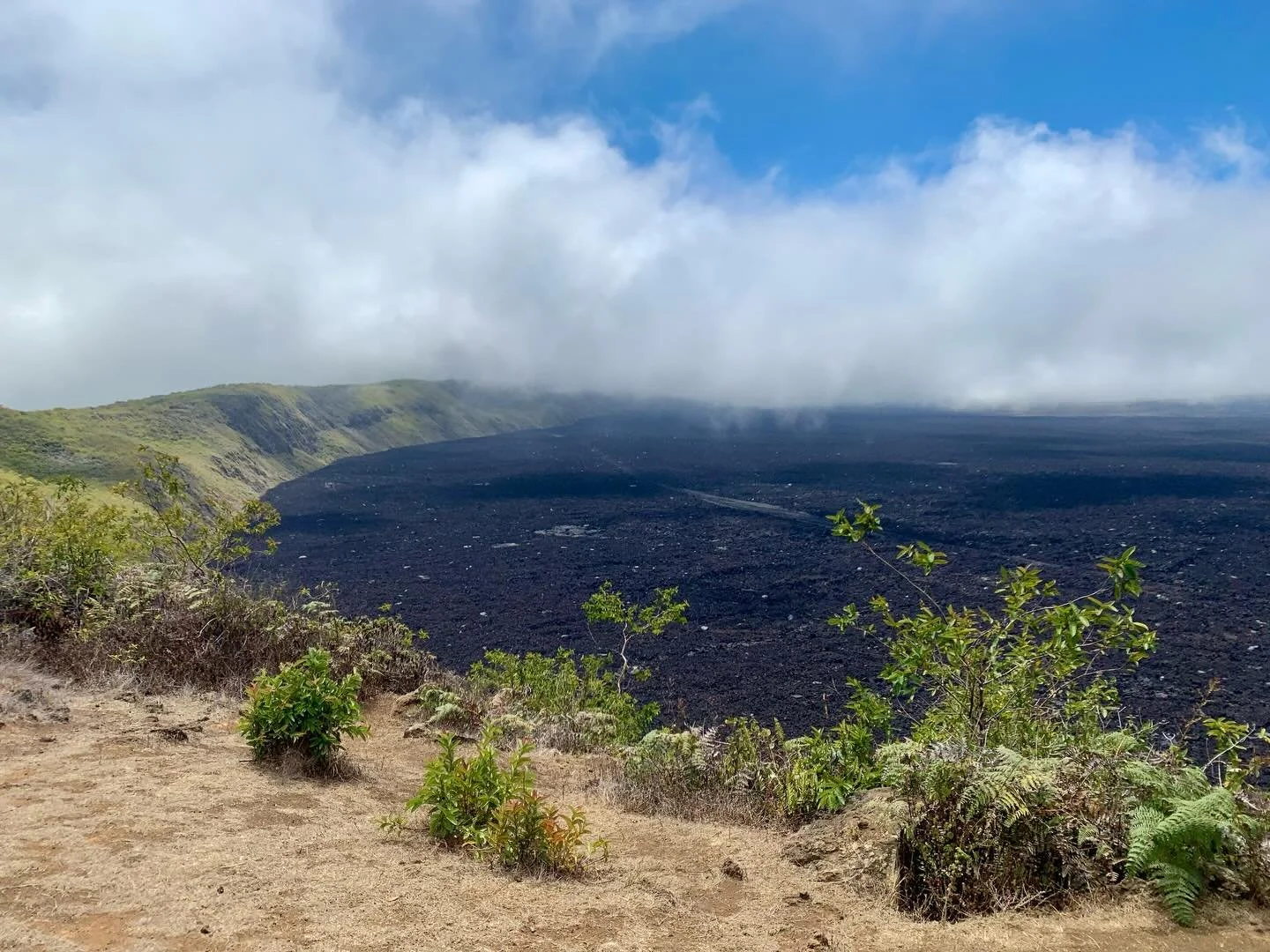 🐢 GAL&Aacute;PAGOS PHOTO DROP 🦈
More from Isabela Island, including hiking on Sierra Negra volcano.