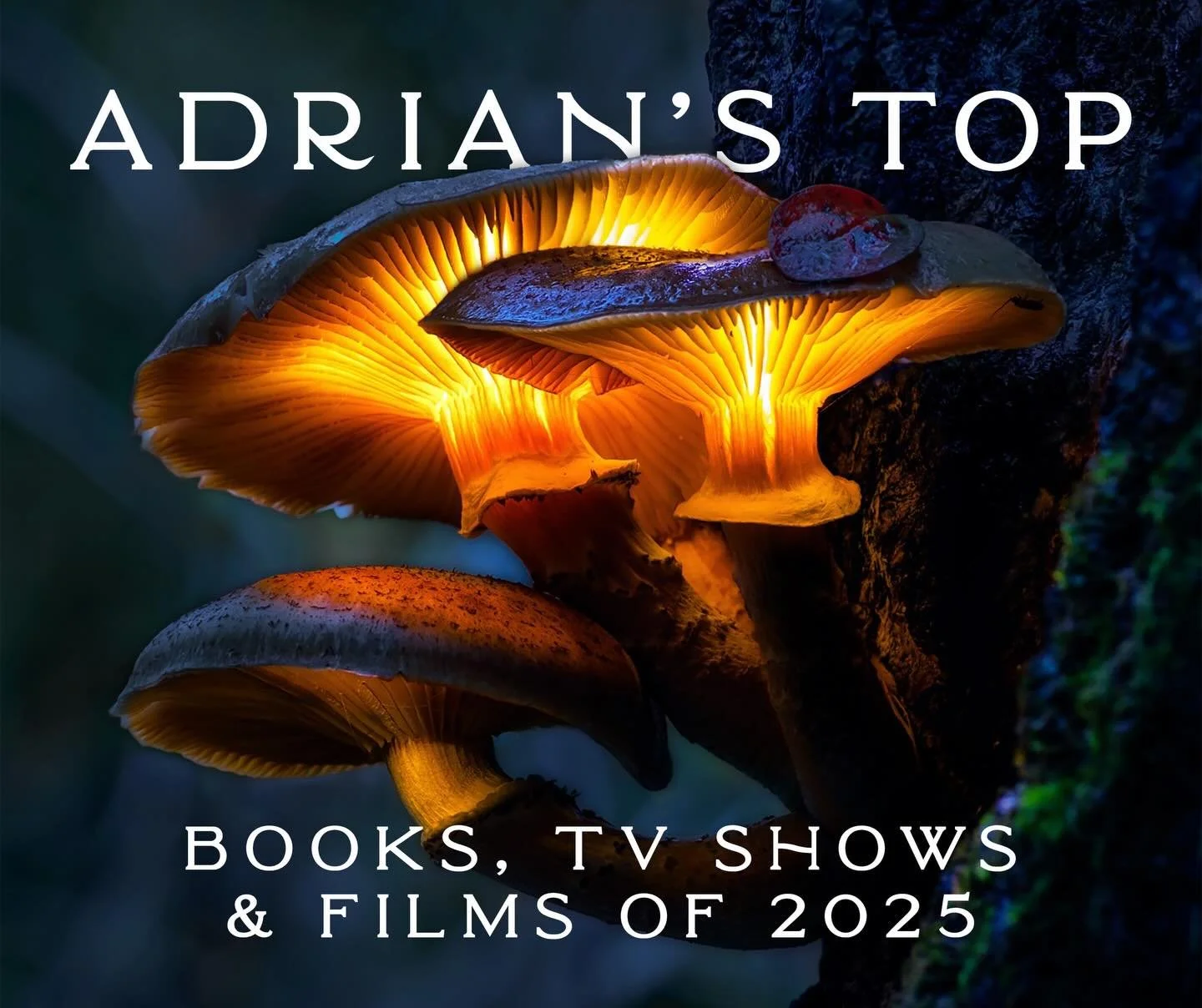 🏆 BEST OF 2025 🏆
These are my top books, TV shows and films/documentaries of 2025.

Have you read or watched any of these? Thoughts? And what were your favorites this year?